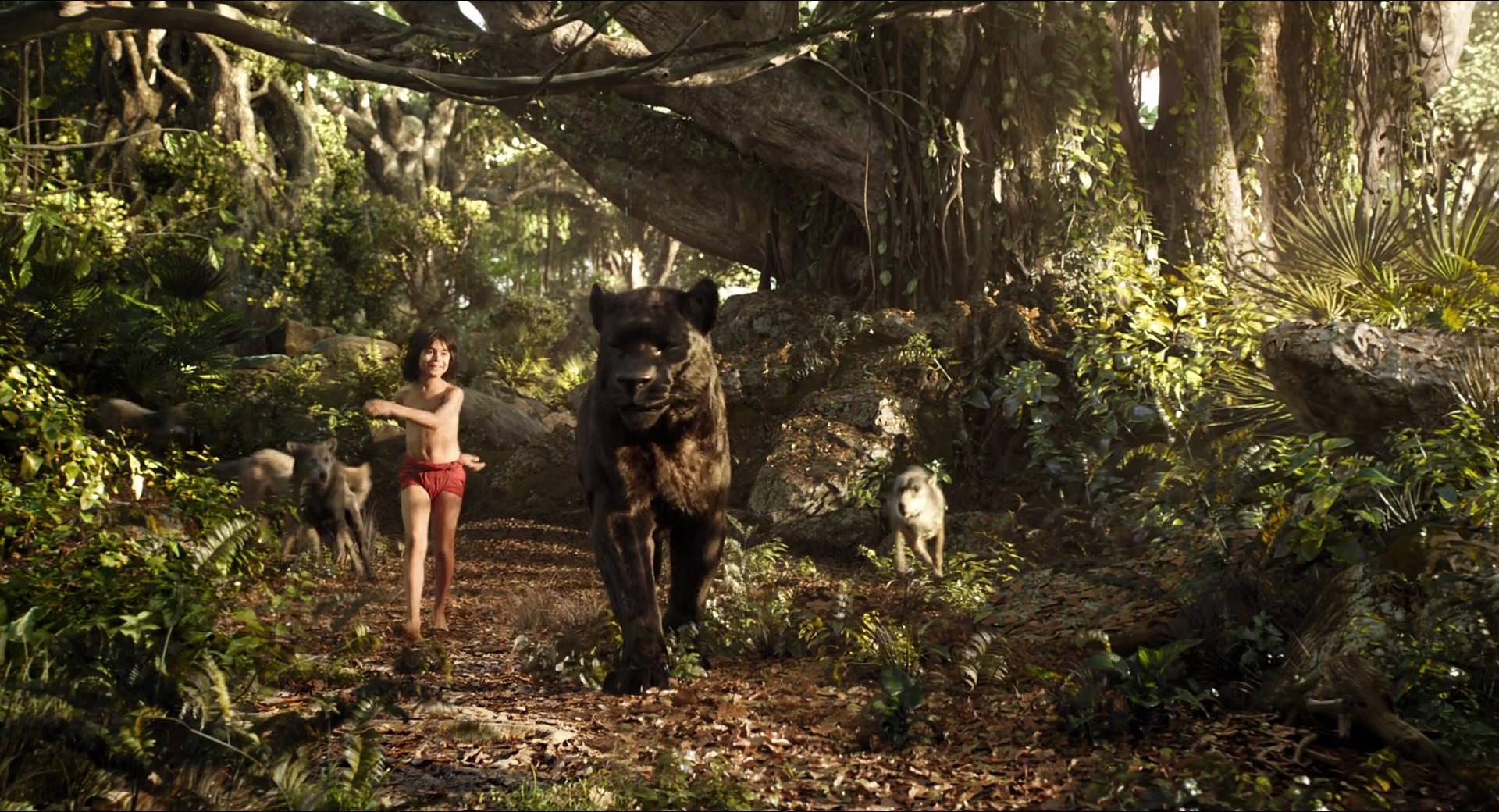 1920x1040 The Jungle Book (2016) Wallpaper 21 X 1040