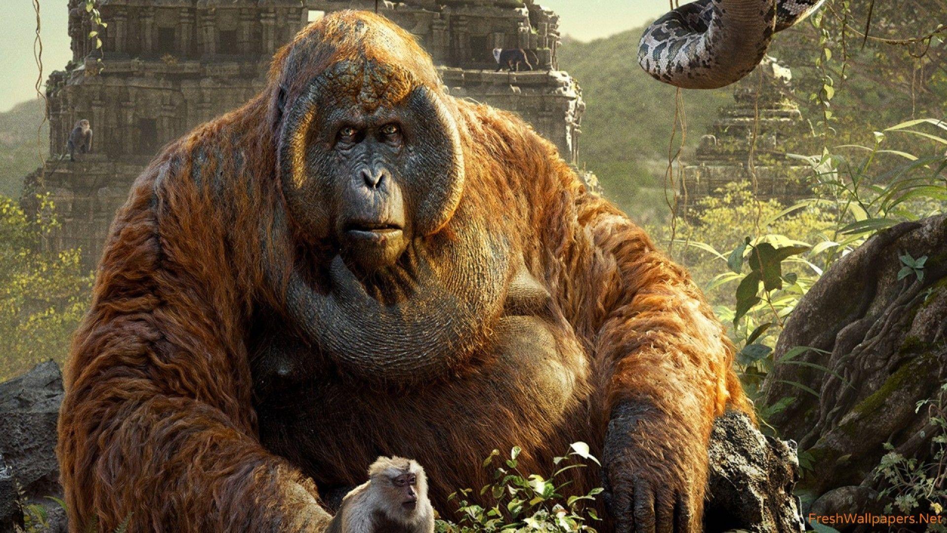 1920x1080 The Jungle Book HD Wallpaper Book The Monkey, HD