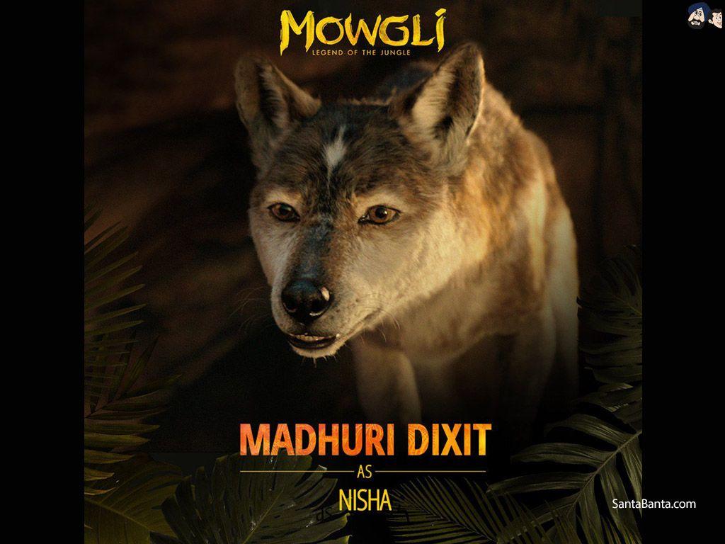 1024x768 Mowgli Legend of the Jungle Wallpaper