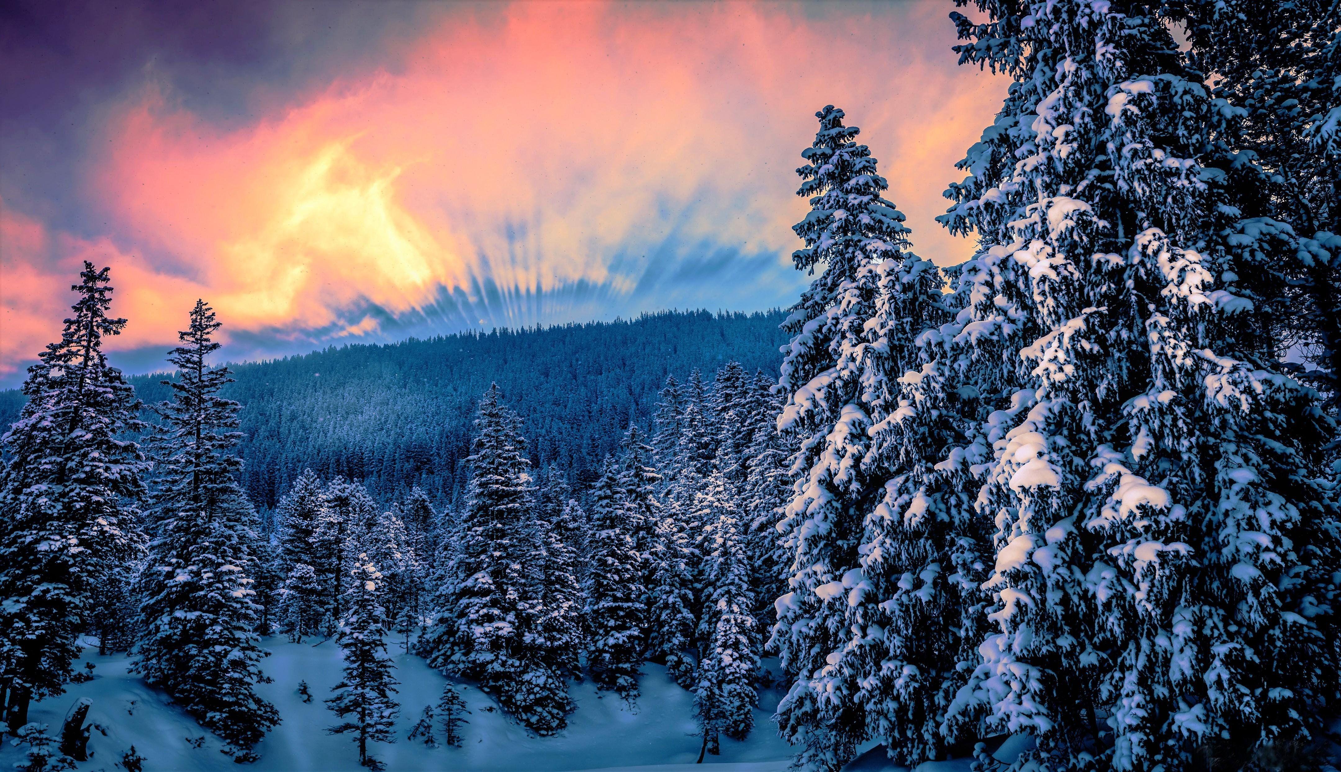 4320x2489 Winter is Here 4K wallpaper