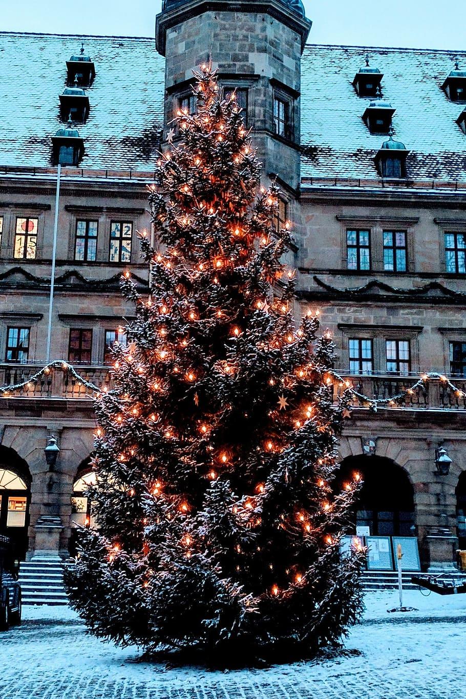 910x1365 HD wallpaper: rothenburg of the deaf, marketplace, christmas