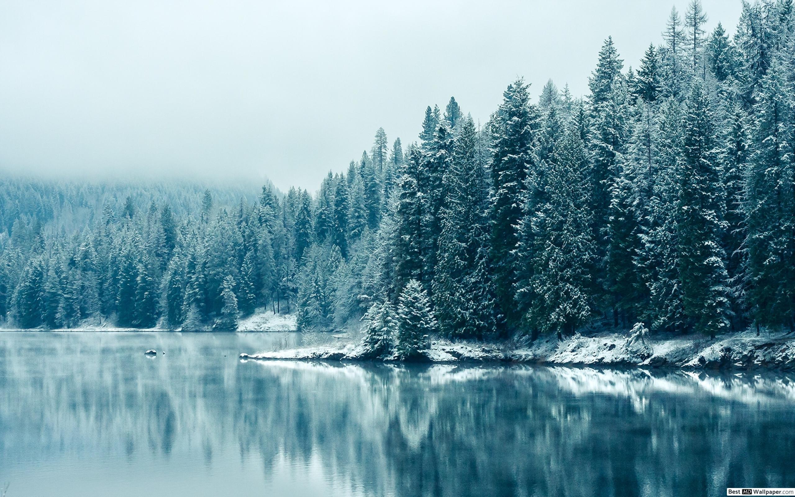 2560x1600 Winter is Coming Here HD wallpaper download