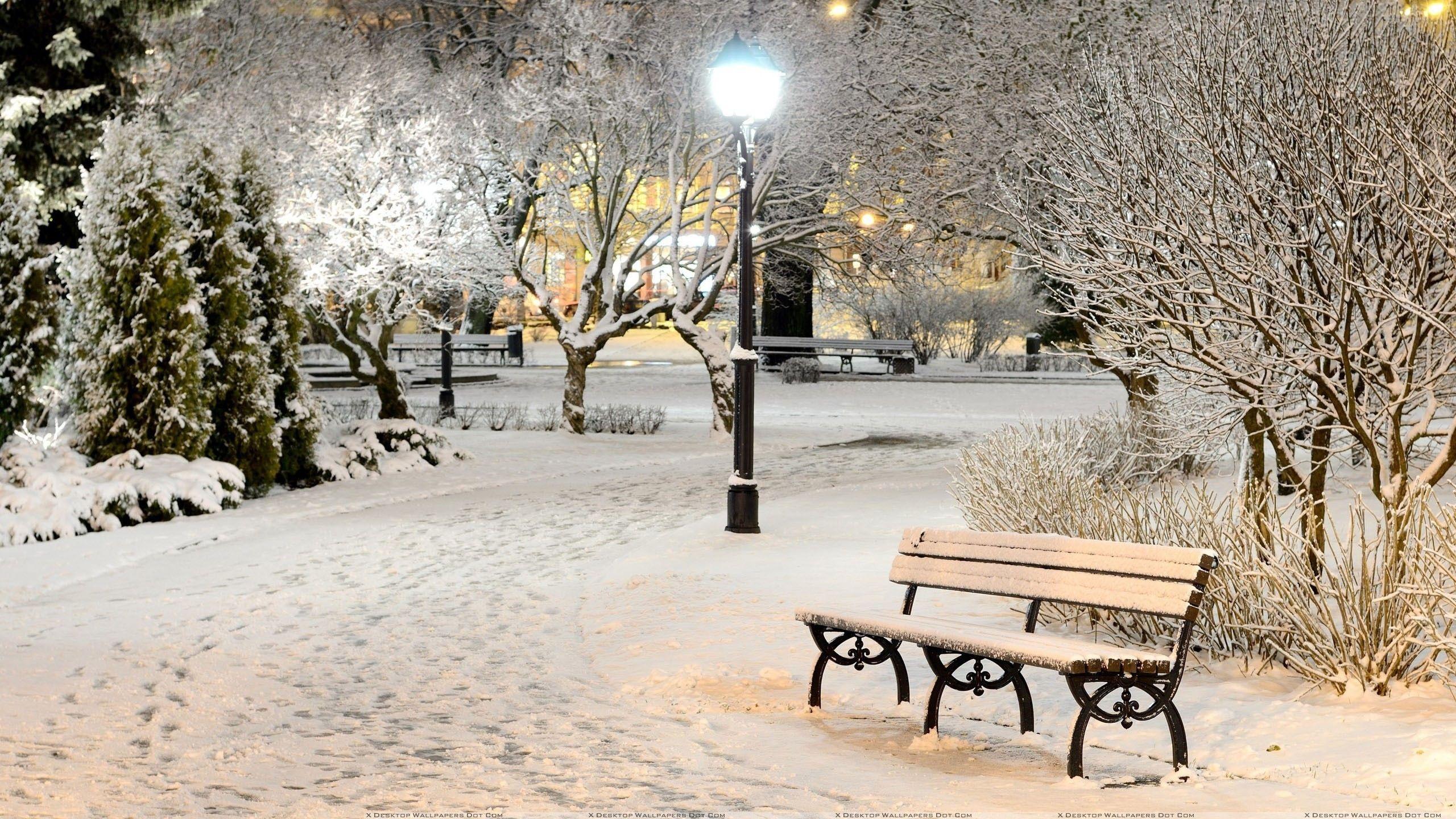 2560x1440 Central Park in the #snow! #wallpaper #newyork #winter