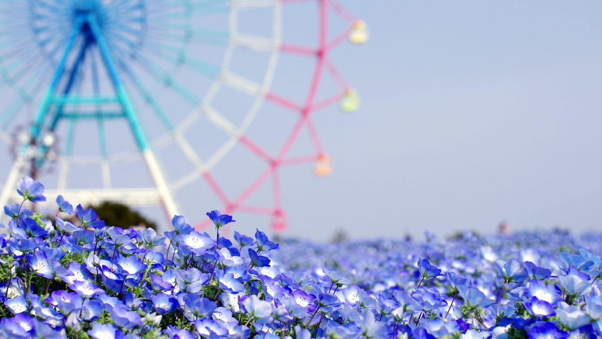 1920x1080 Tumblr Wallpaper Desktop