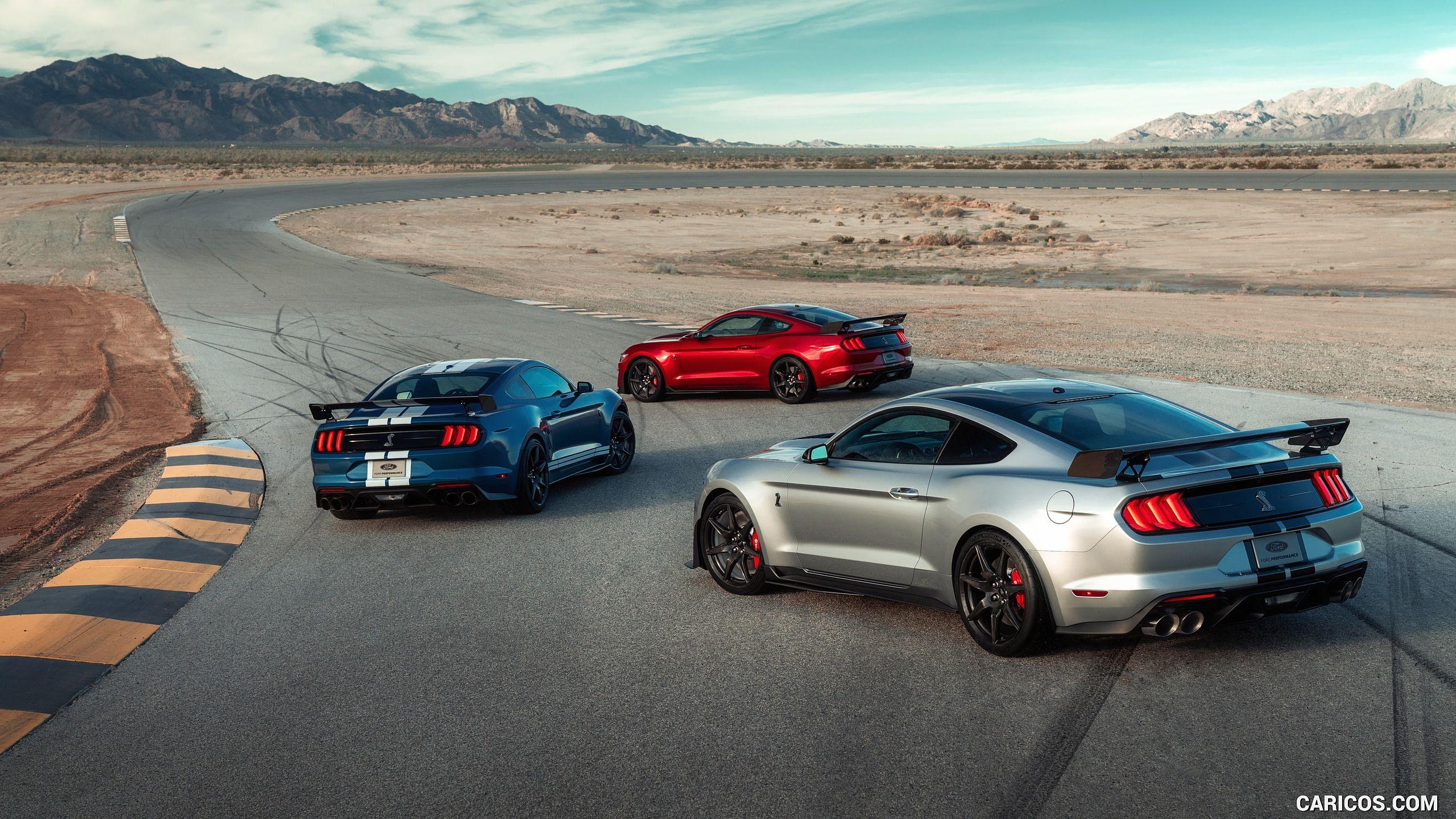 Ford Mustang Shelby GT500 Wallpapers - Top Free Ford Mustang Shelby ...