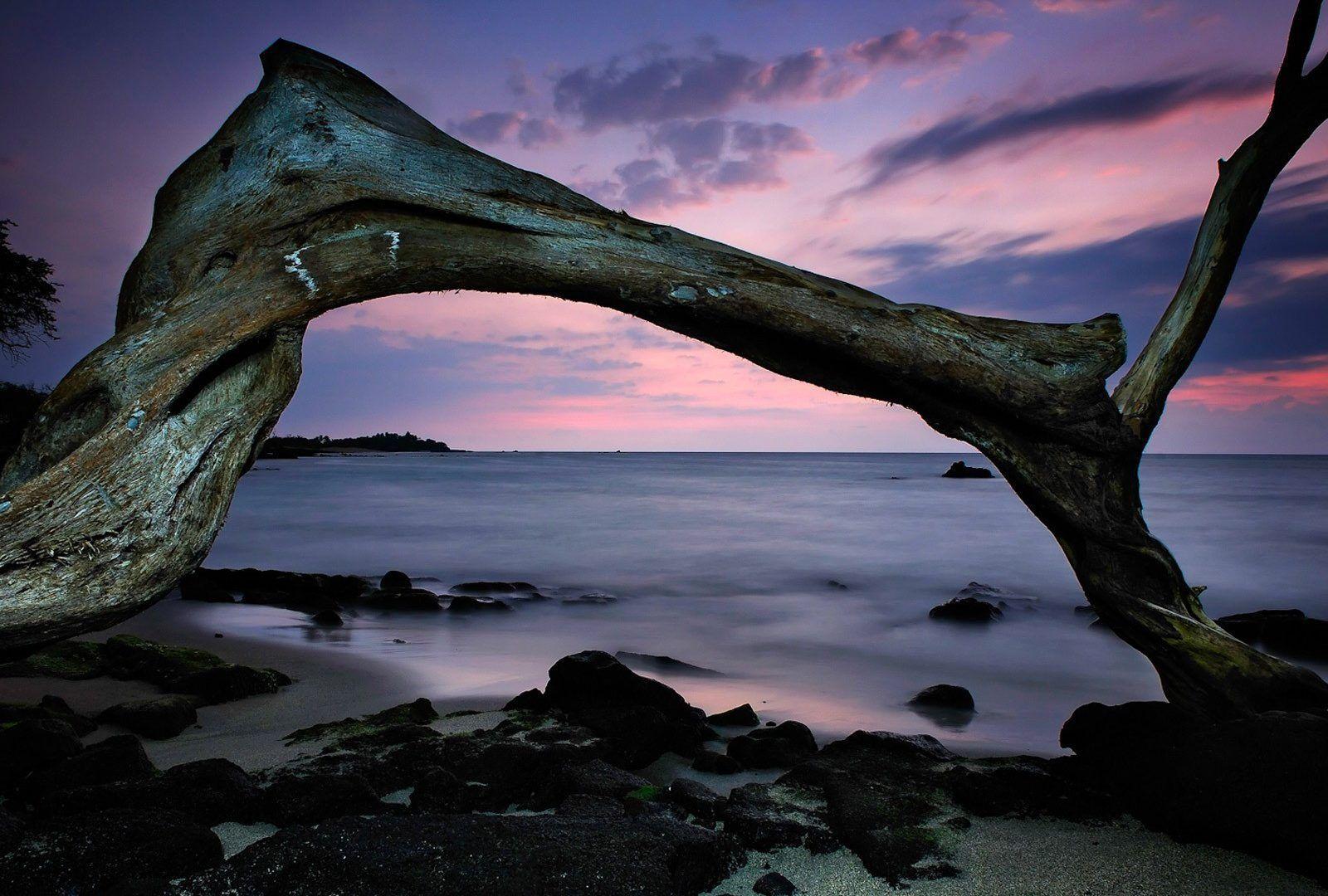 1600x1080 Paisagem Natureza Mar Madeira Pedras Ocean Live Wallpaper