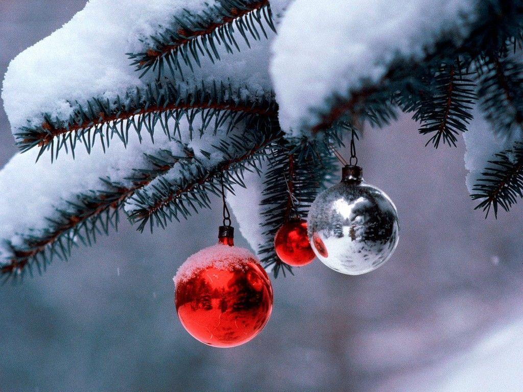 1024x768 Hawaiian christmas ornaments on SeasonChristmas.com. Merry Christmas!