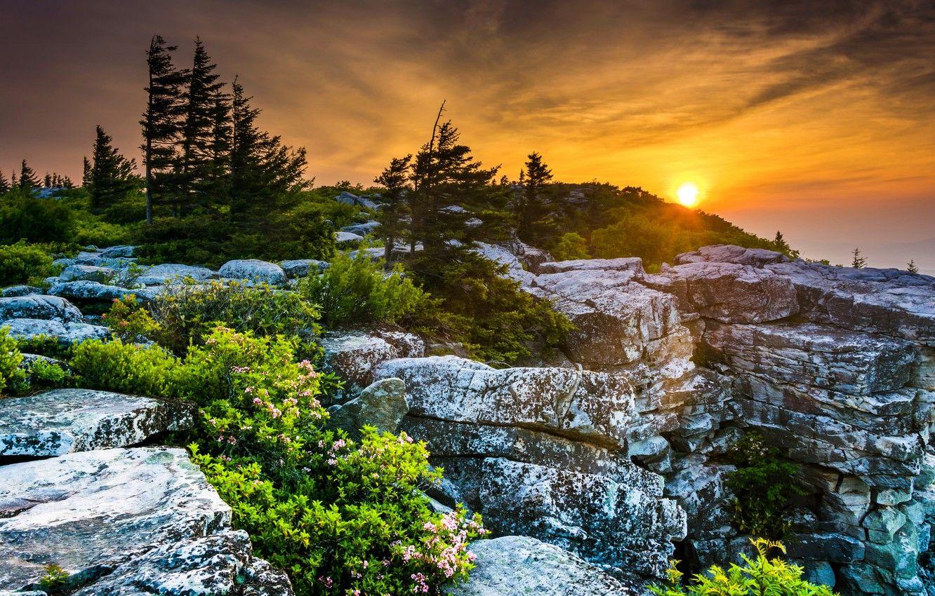 1332x850 Wallpaper trees, sunset, stones, USA, the bushes, West