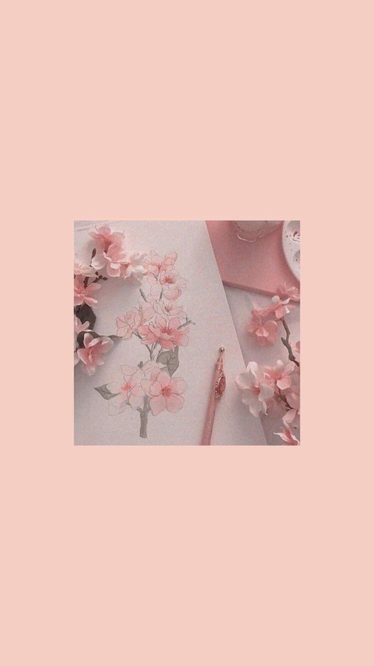 Chia sẻ 99 aesthetic pink background hình nền story instagram hay nhất   caodangtamdiepeduvn