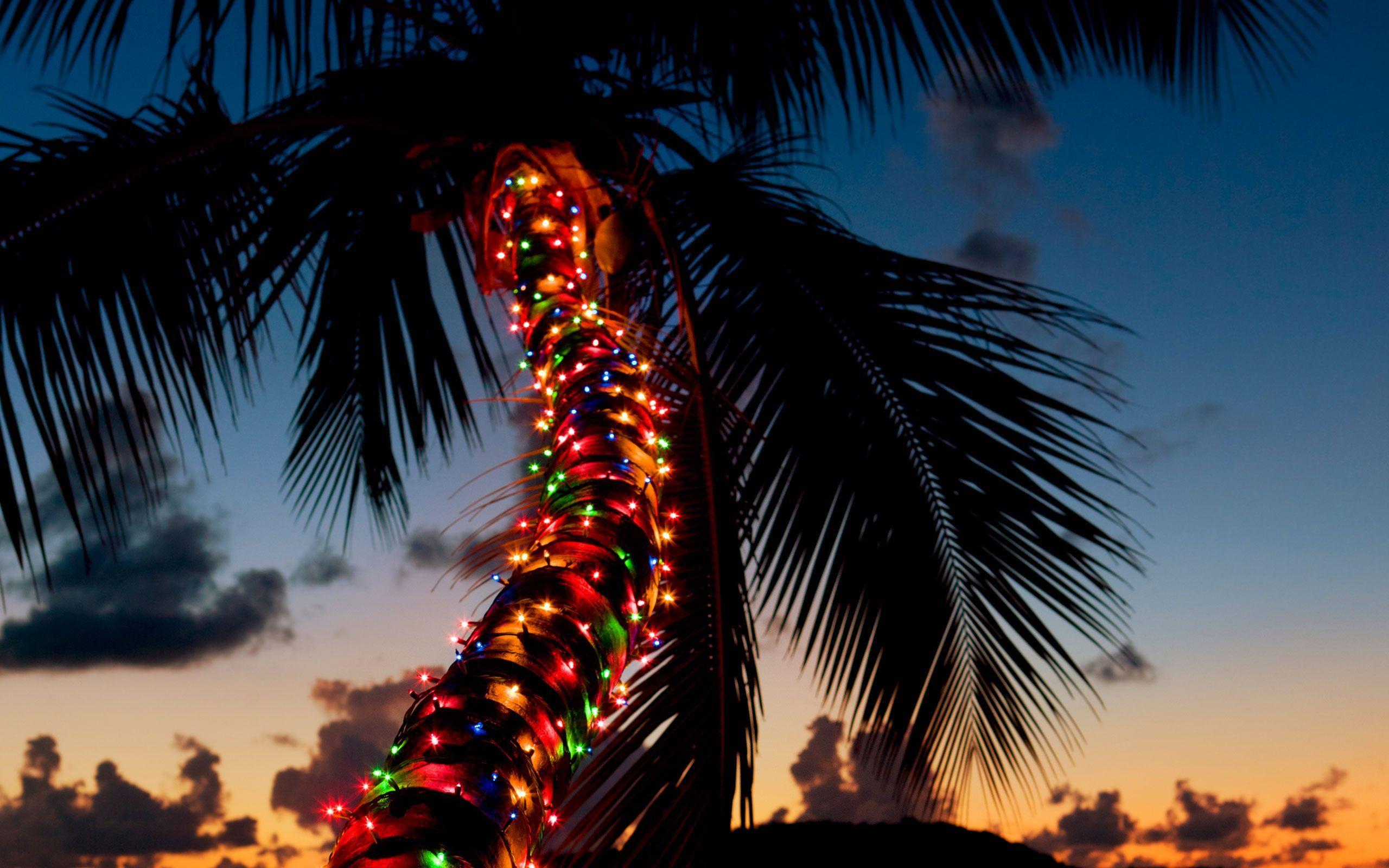 Hawaii Christmas Wallpapers Top Free Hawaii Christmas Backgrounds
