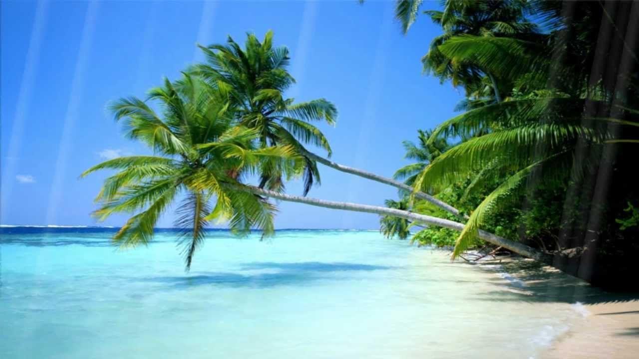 1280x720 Summer Beach Animated Wallpaper