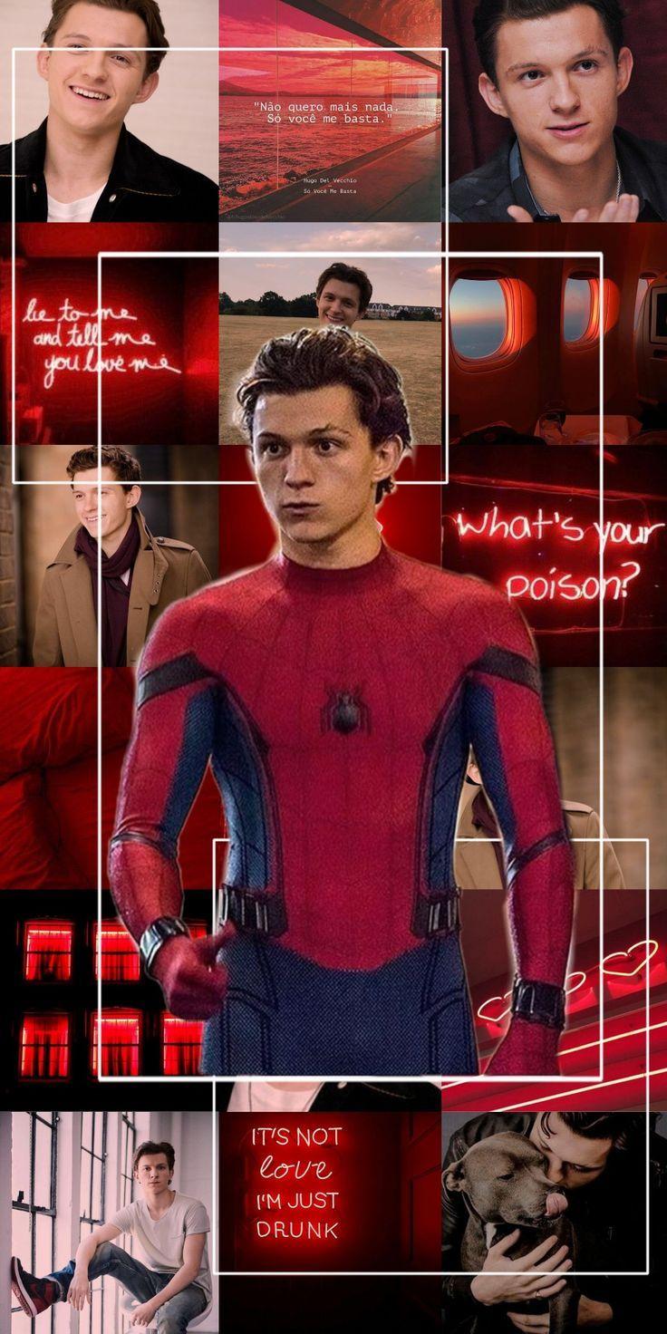 736x1472 Wallpaper Tom Holland Peter Parker Spiderman