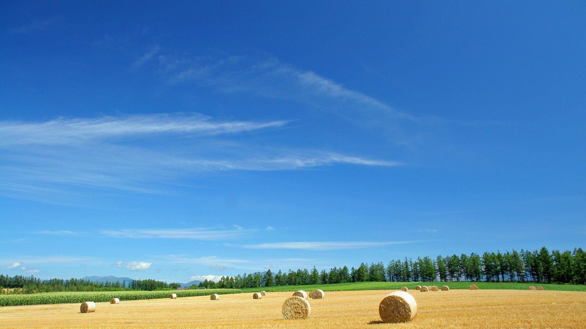 1920x1080 Download wallpaper 1920x1080 field, economy, hay, straw