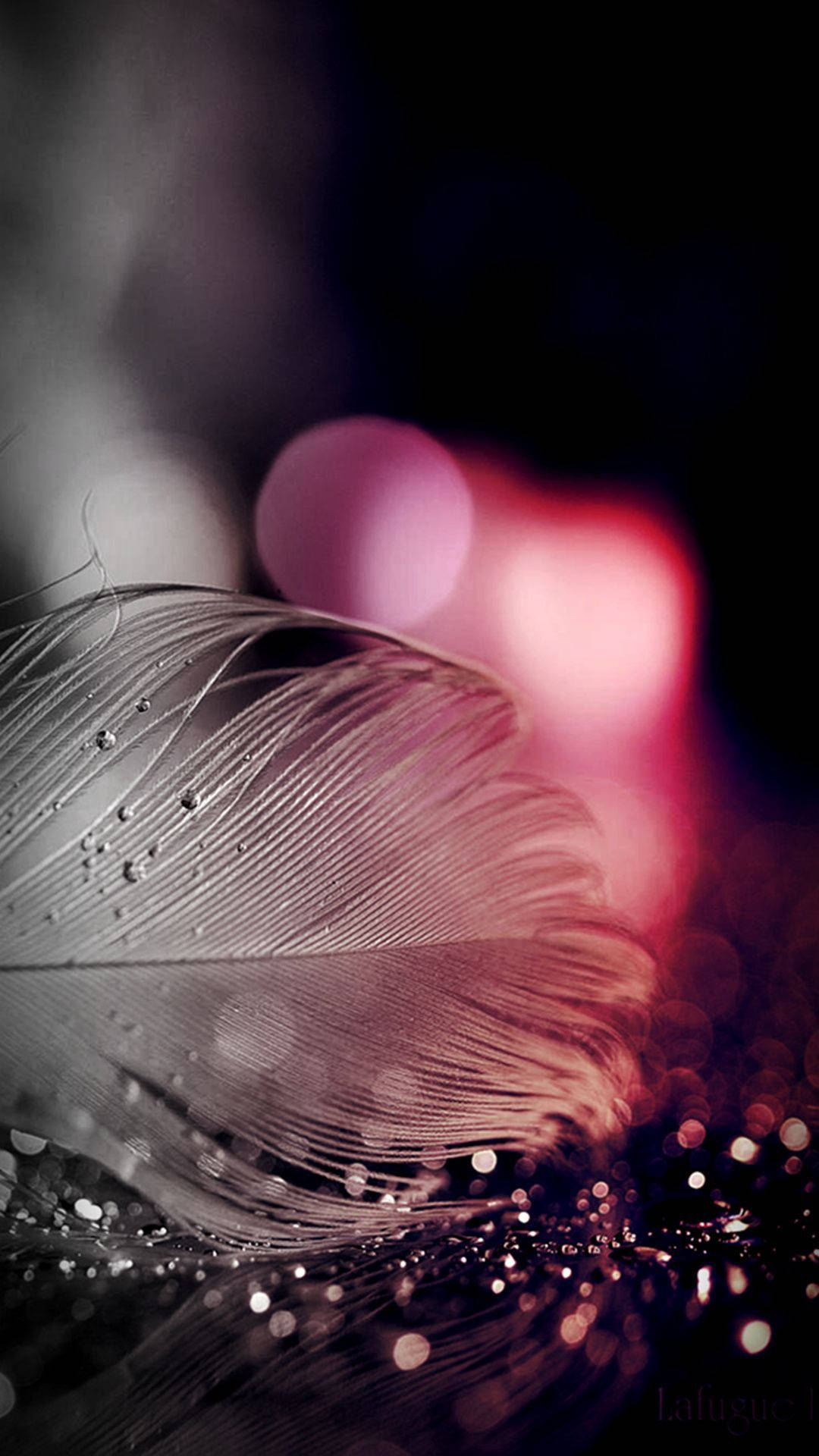 1080x1920 Download Wet Feather Mobile Wallpaper