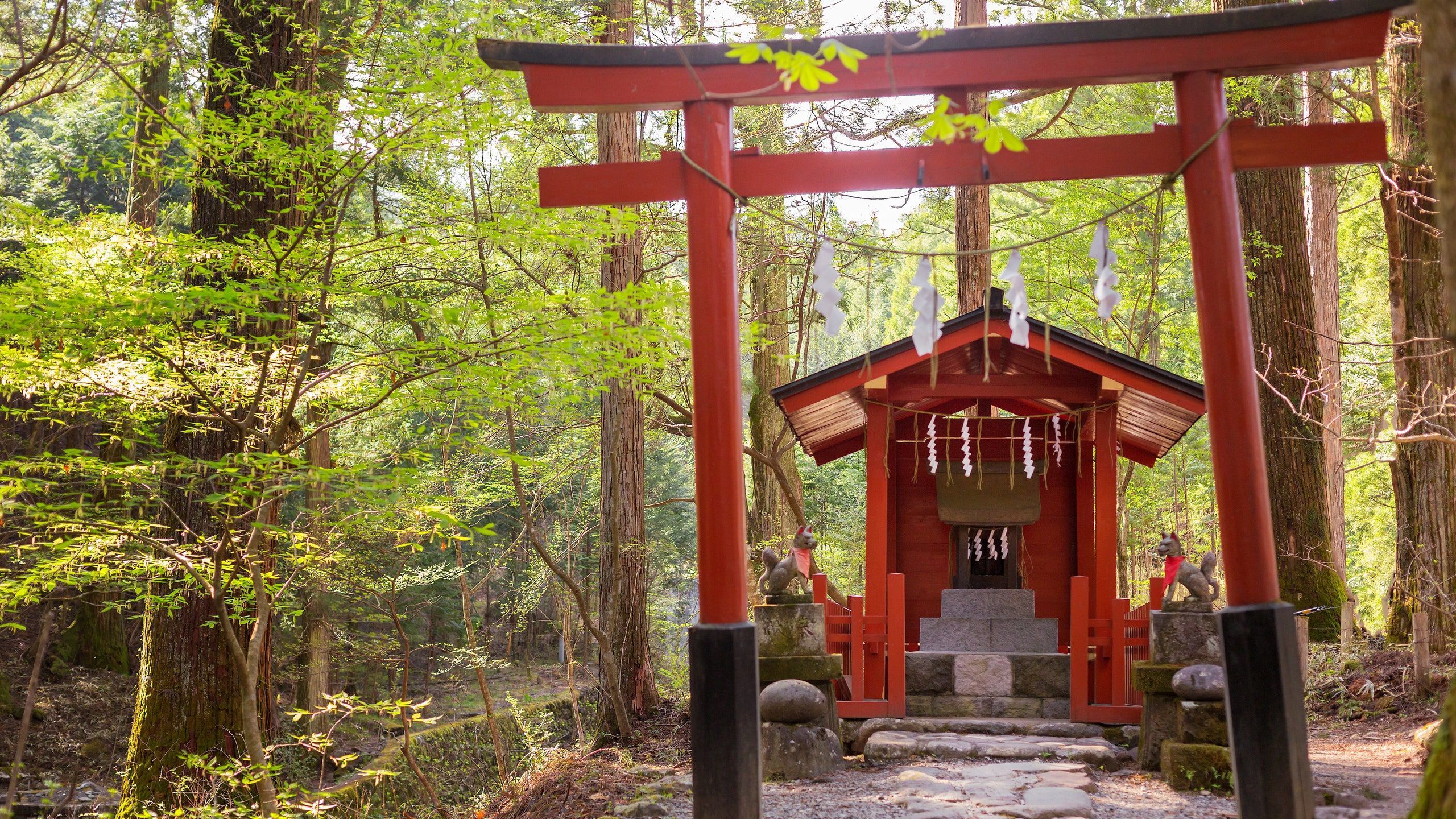 2560x1440 Takio Shrine, Nikko, Japan