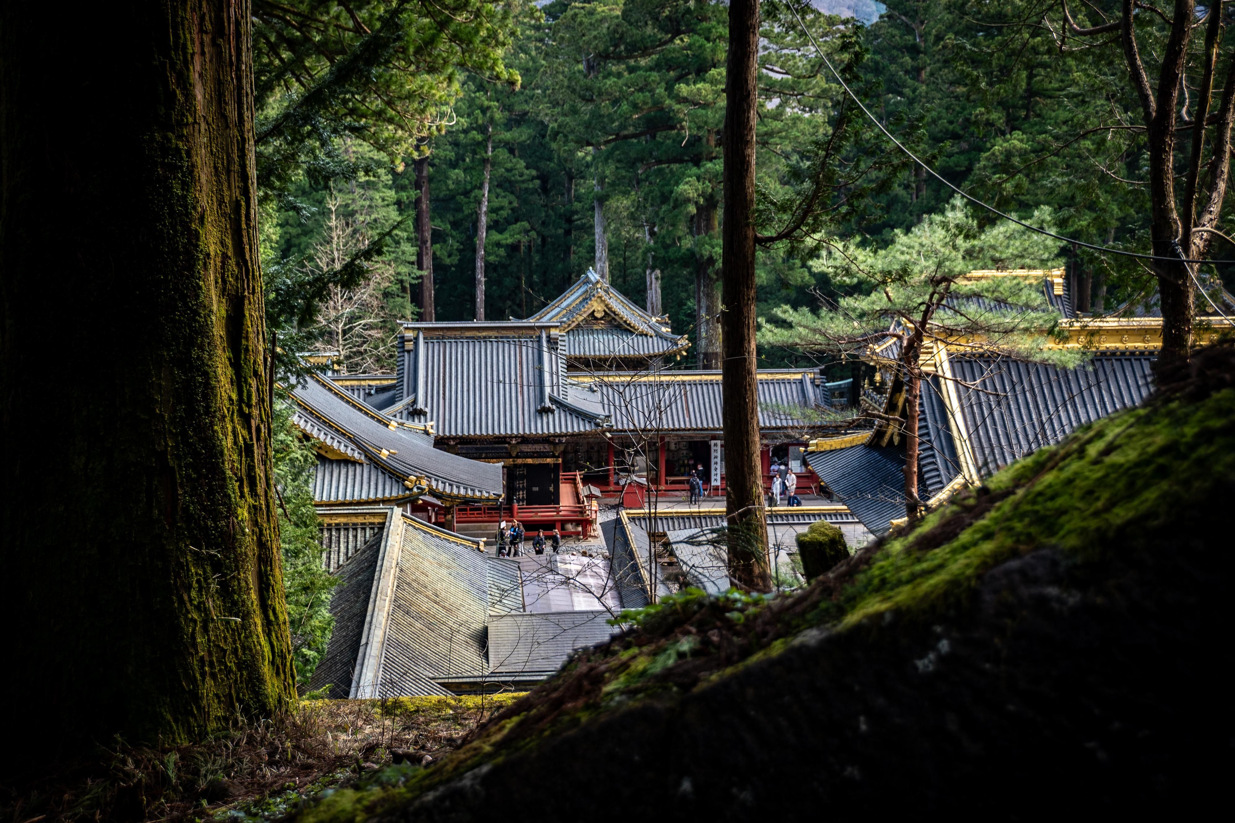 3984x2656 Hidden Forest Temple, Japan : r