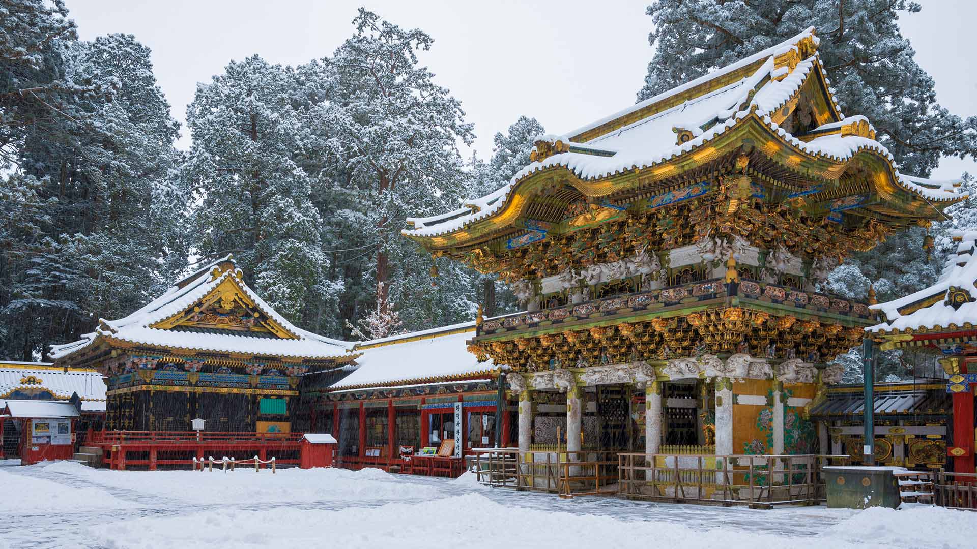 1920x1080 Nikko