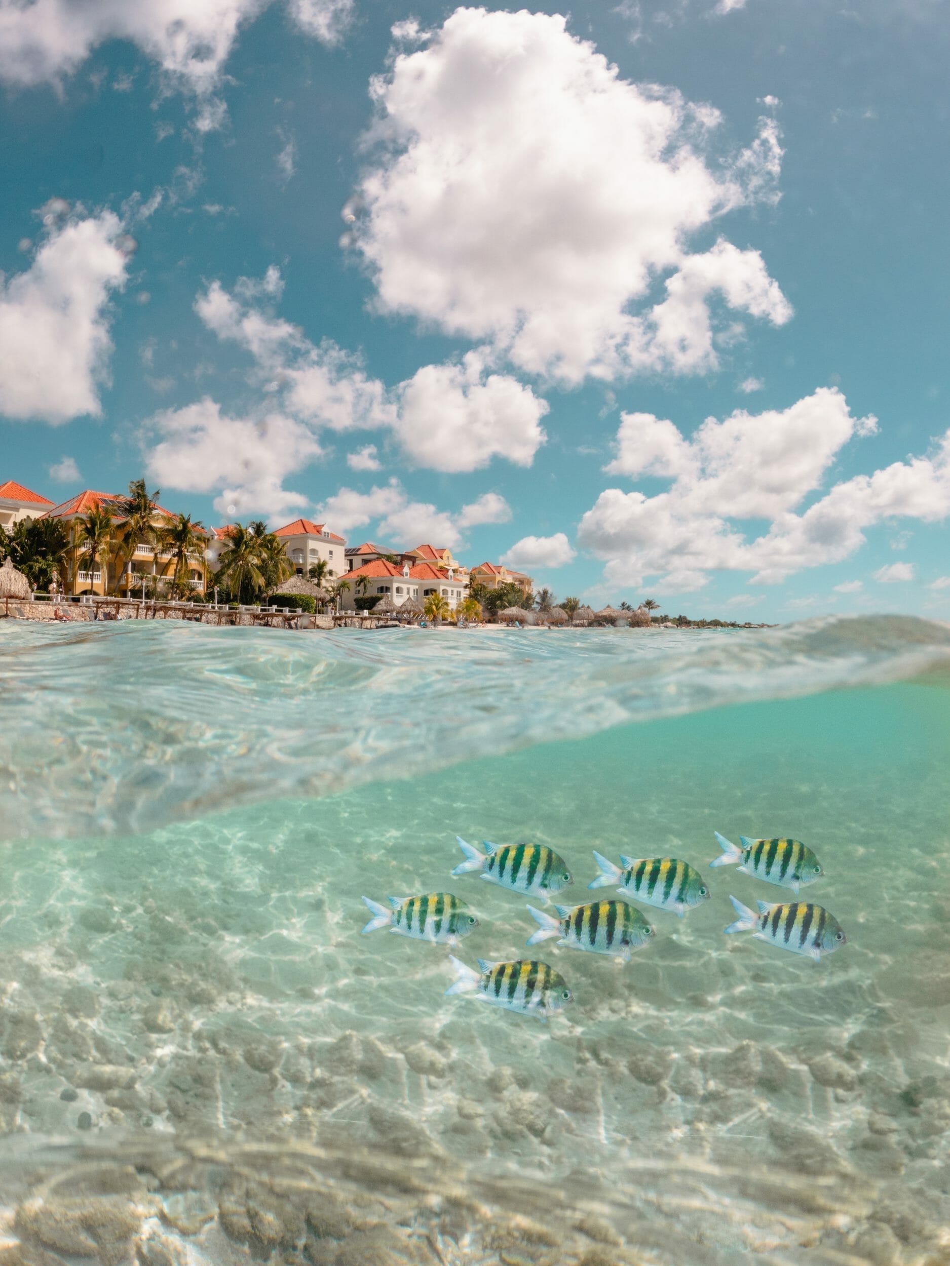 1875x2500 Press Beach Hotel Curacao