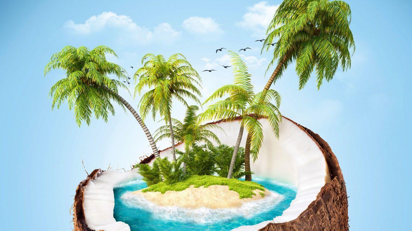 Coconut Tree Wallpapers - Top Free Coconut Tree Backgrounds