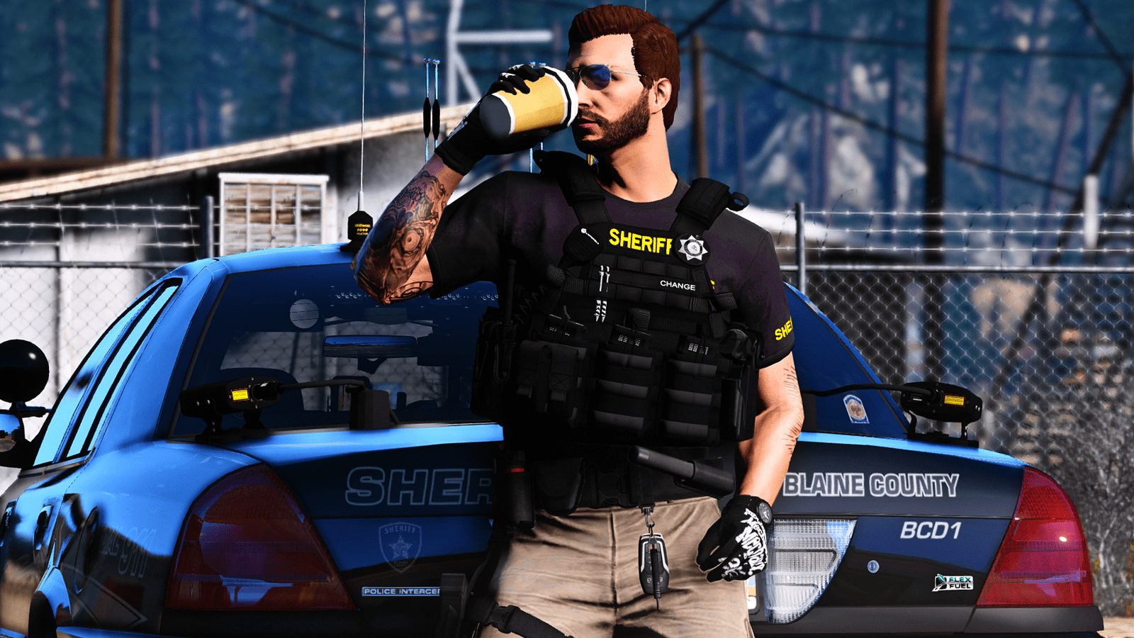 LSPDFR Wallpapers - Top Free LSPDFR Backgrounds - WallpaperAccess