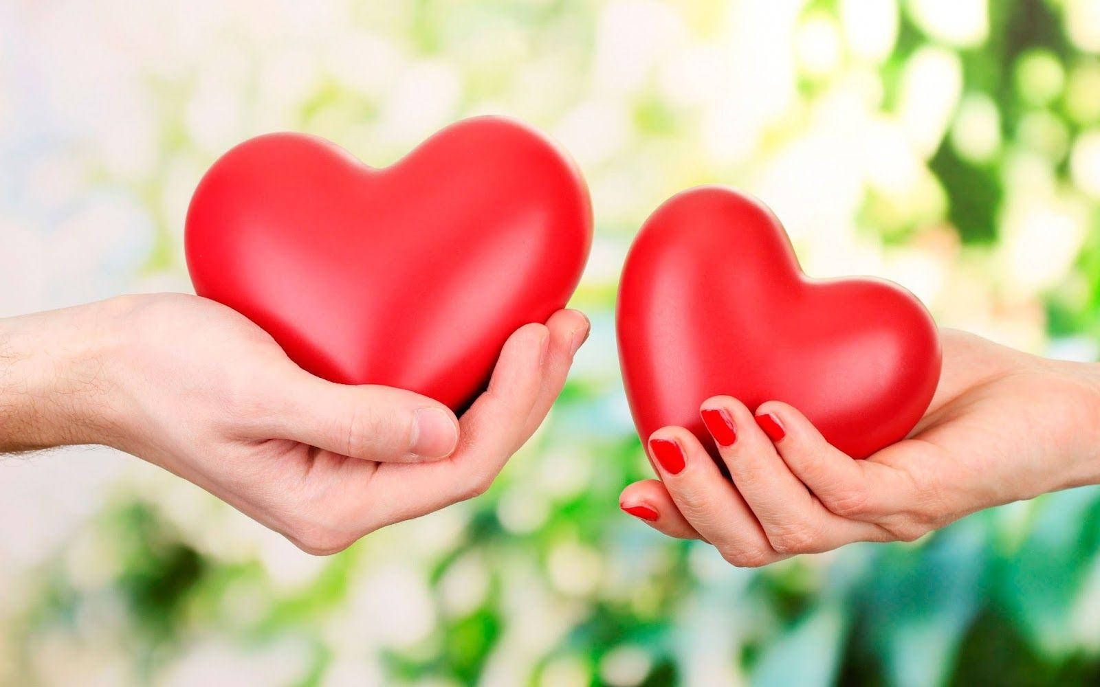 1600x1000 Two Hands Heart Love Full HD Wallpaper