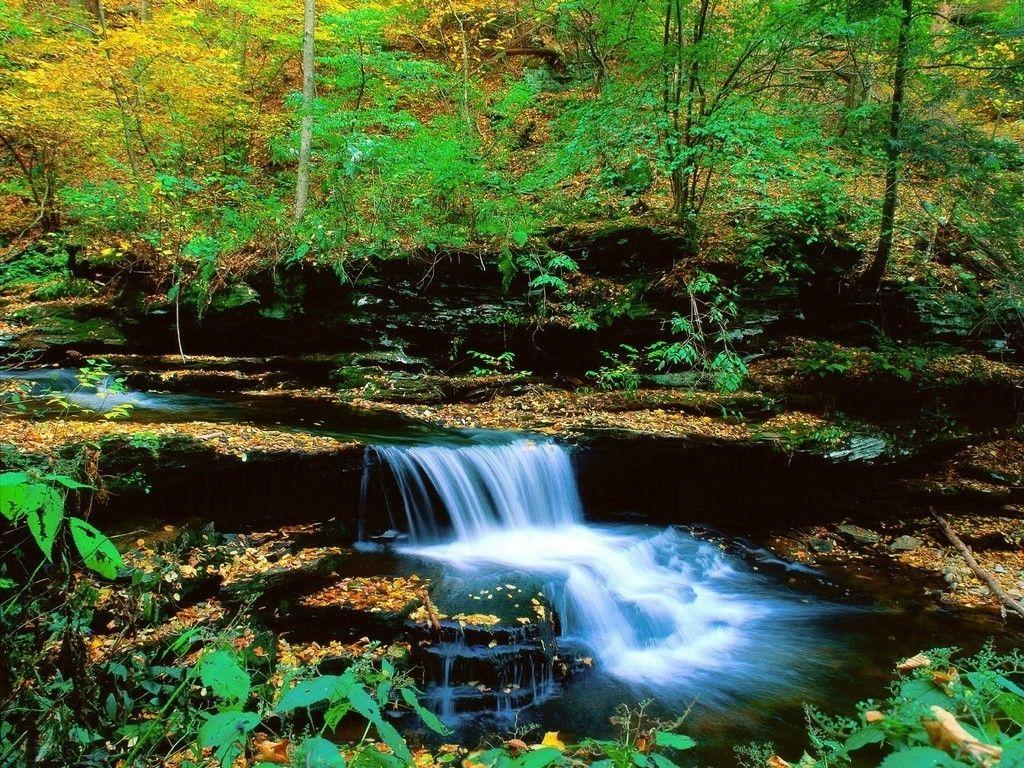 1024x768 Pennsylvania Wallpaper