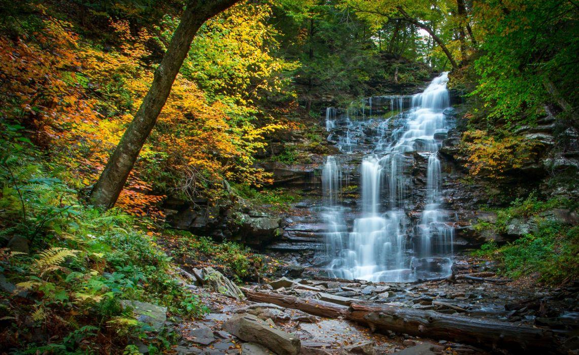 1141x700 Waterfall cascade river forest autumn stones Pennsylvania