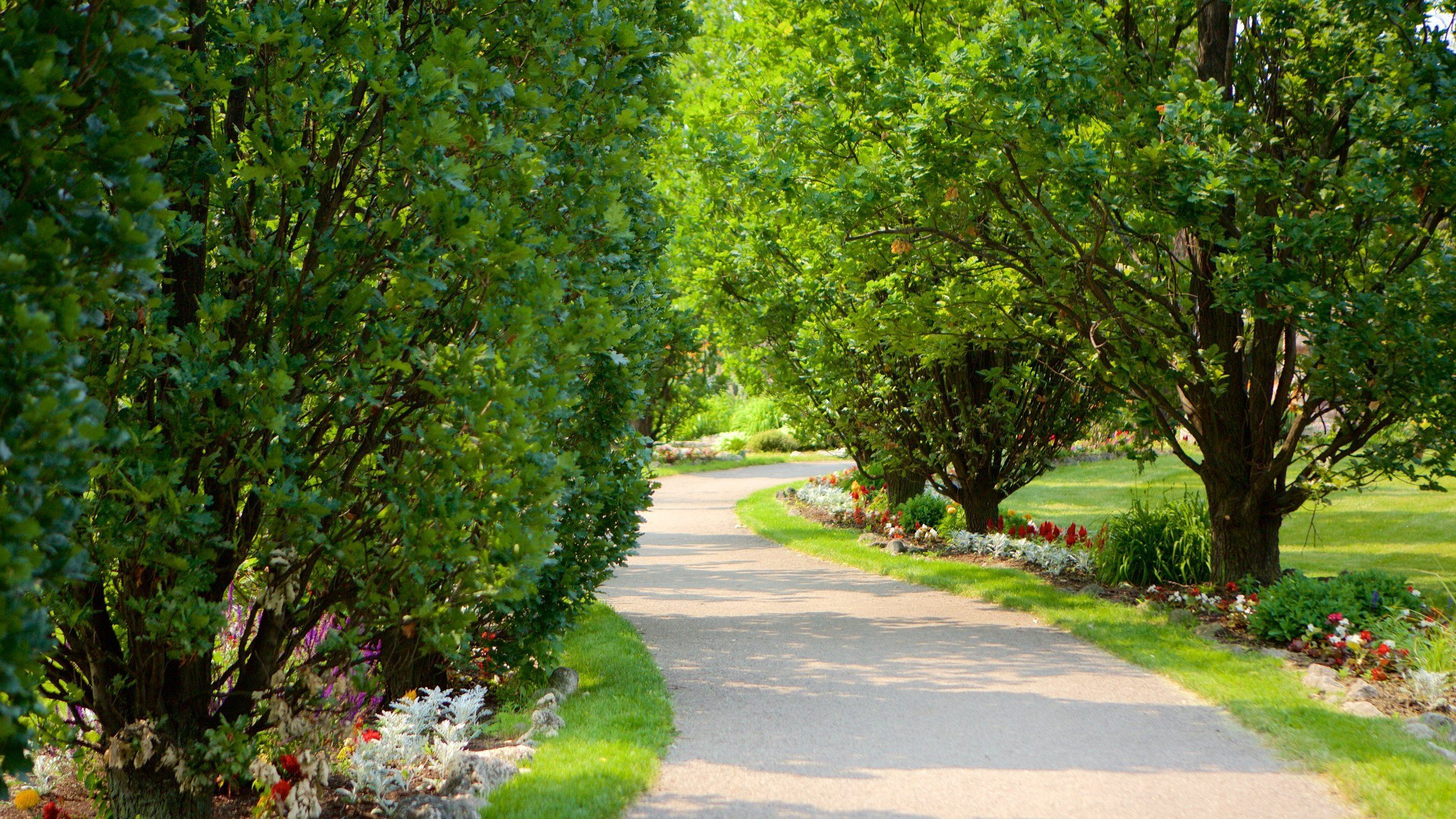 2560x1440 Visit Brampton: 2025 Travel Guide