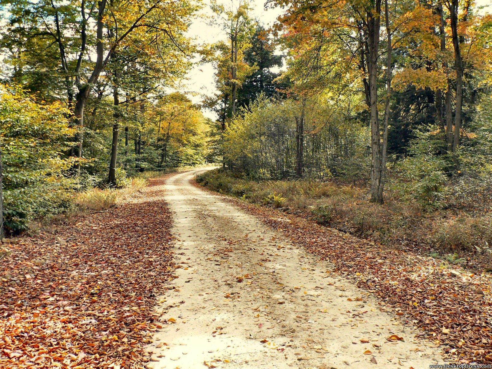 1600x1200 Desktop Wallpaper Natural Background Allegheny National Forest, Pennsylvania