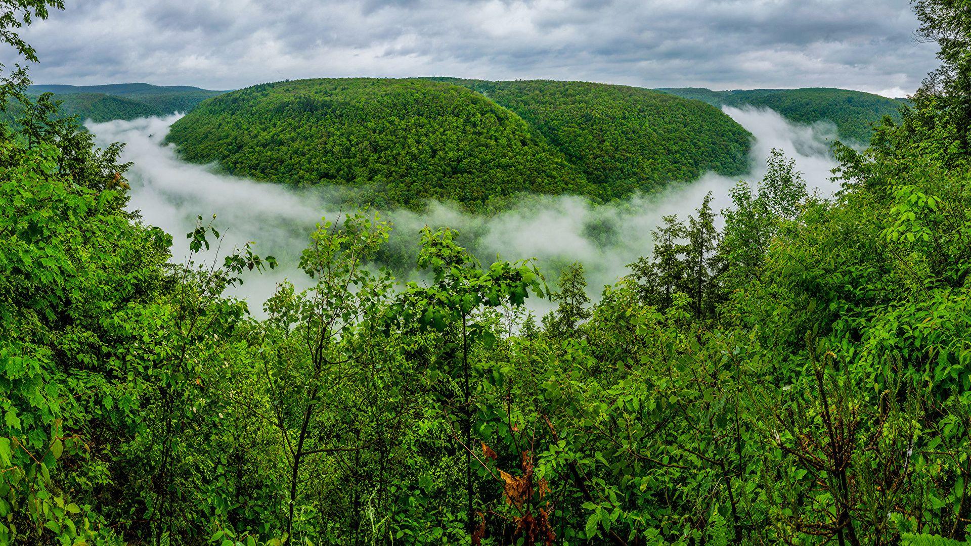 1920x1080 Desktop Wallpaper Pennsylvania USA Grand Canyon of 1920x1080