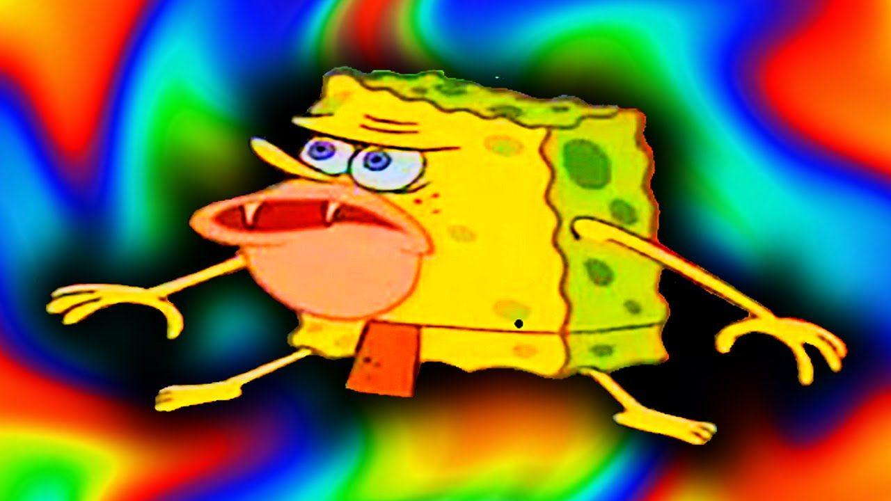 Trend One Of My New Favorite Spongebob Faces - Spongebob, Spongebob Meme HD  wallpaper