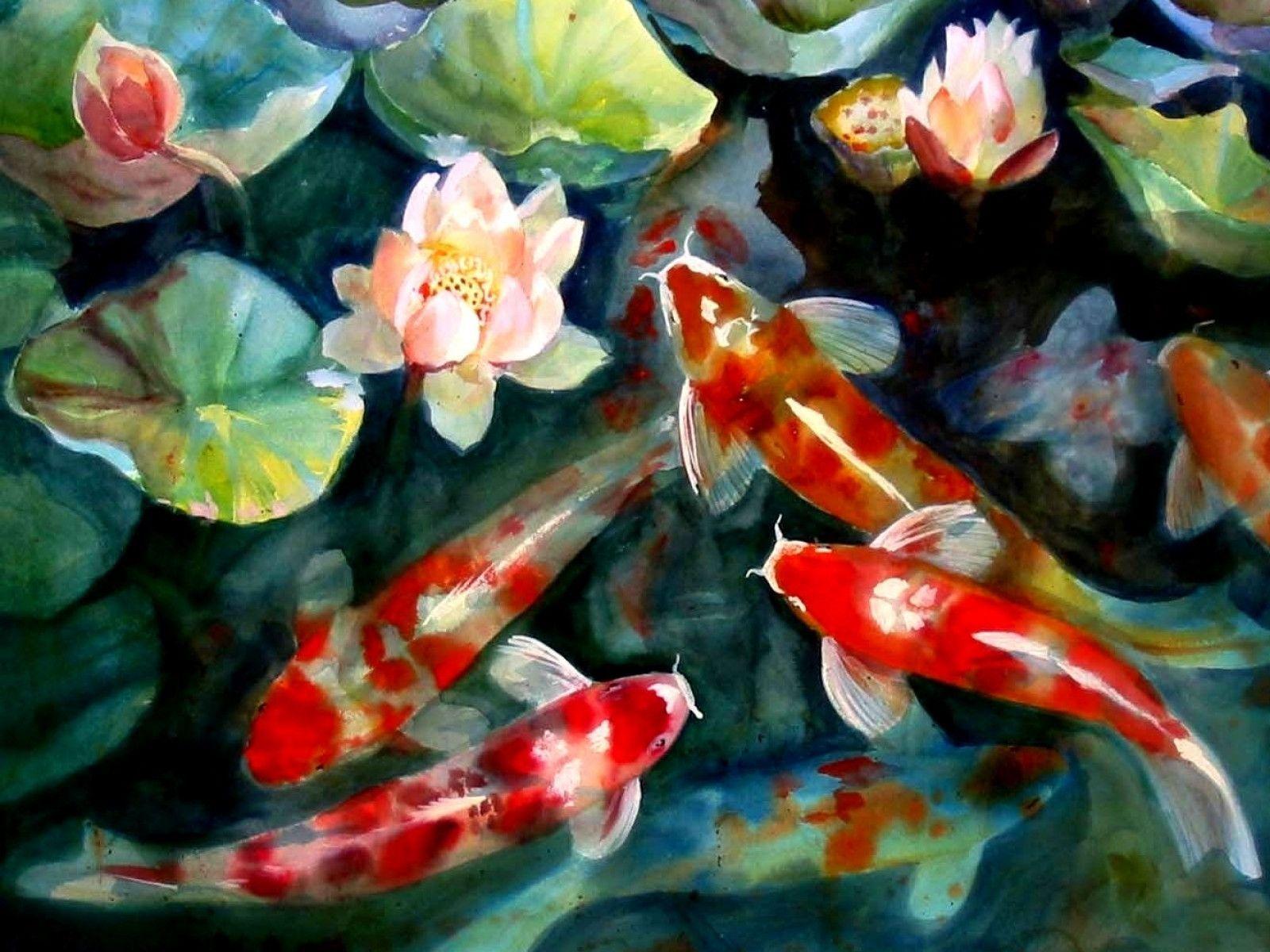 1600x1200 Koi Fish Background