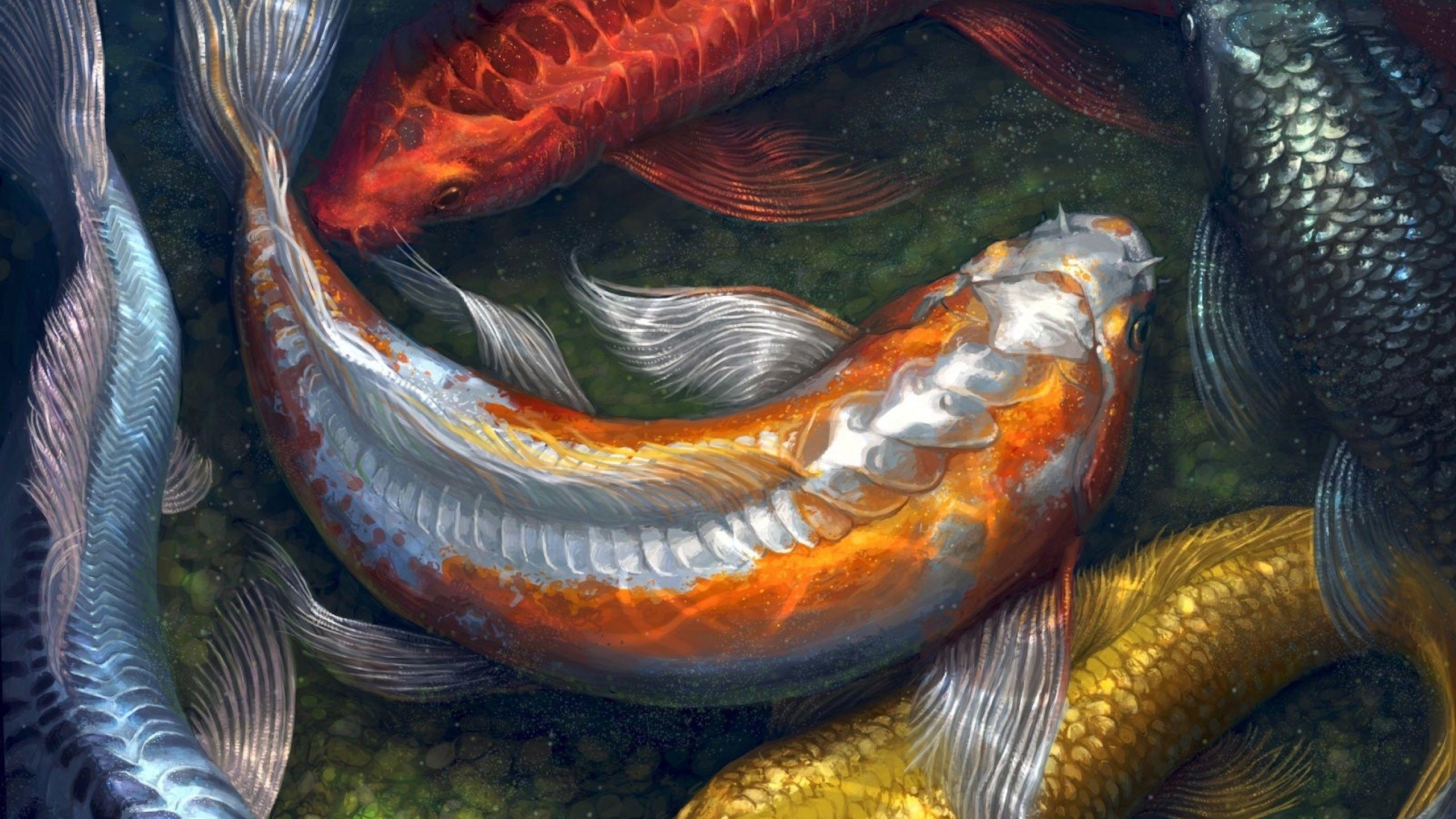 2560x1440 HD Koi Fish Wallpaper