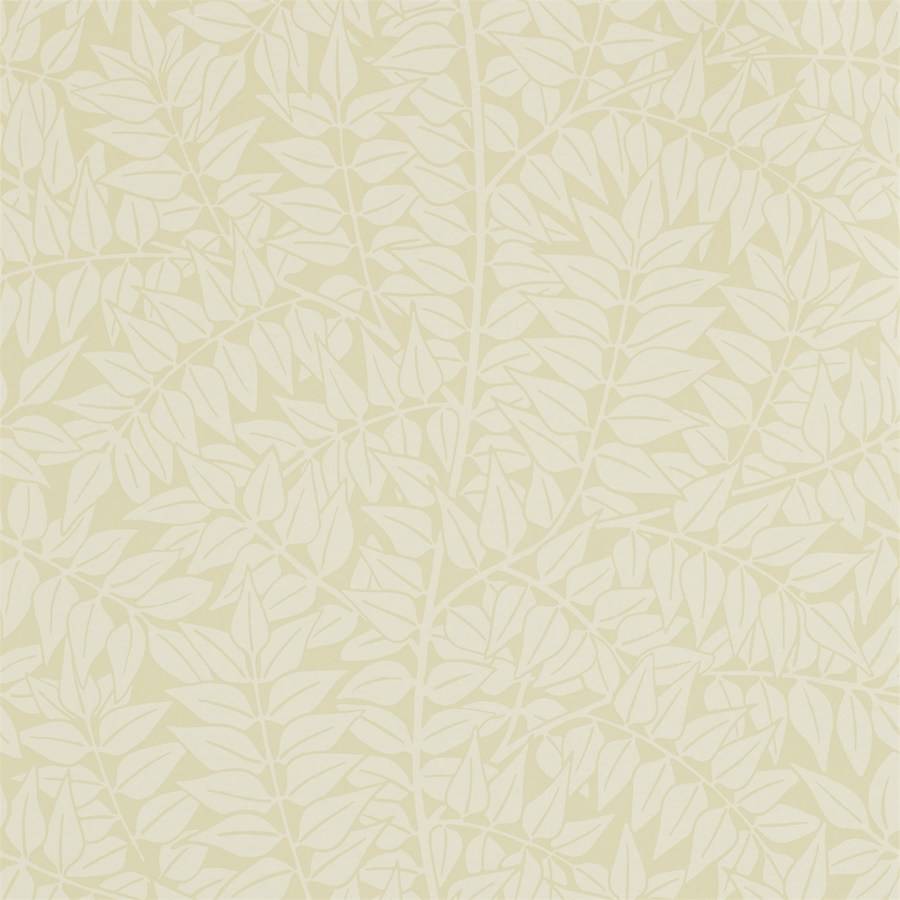 Cream Wallpapers - Top Free Cream Backgrounds - WallpaperAccess