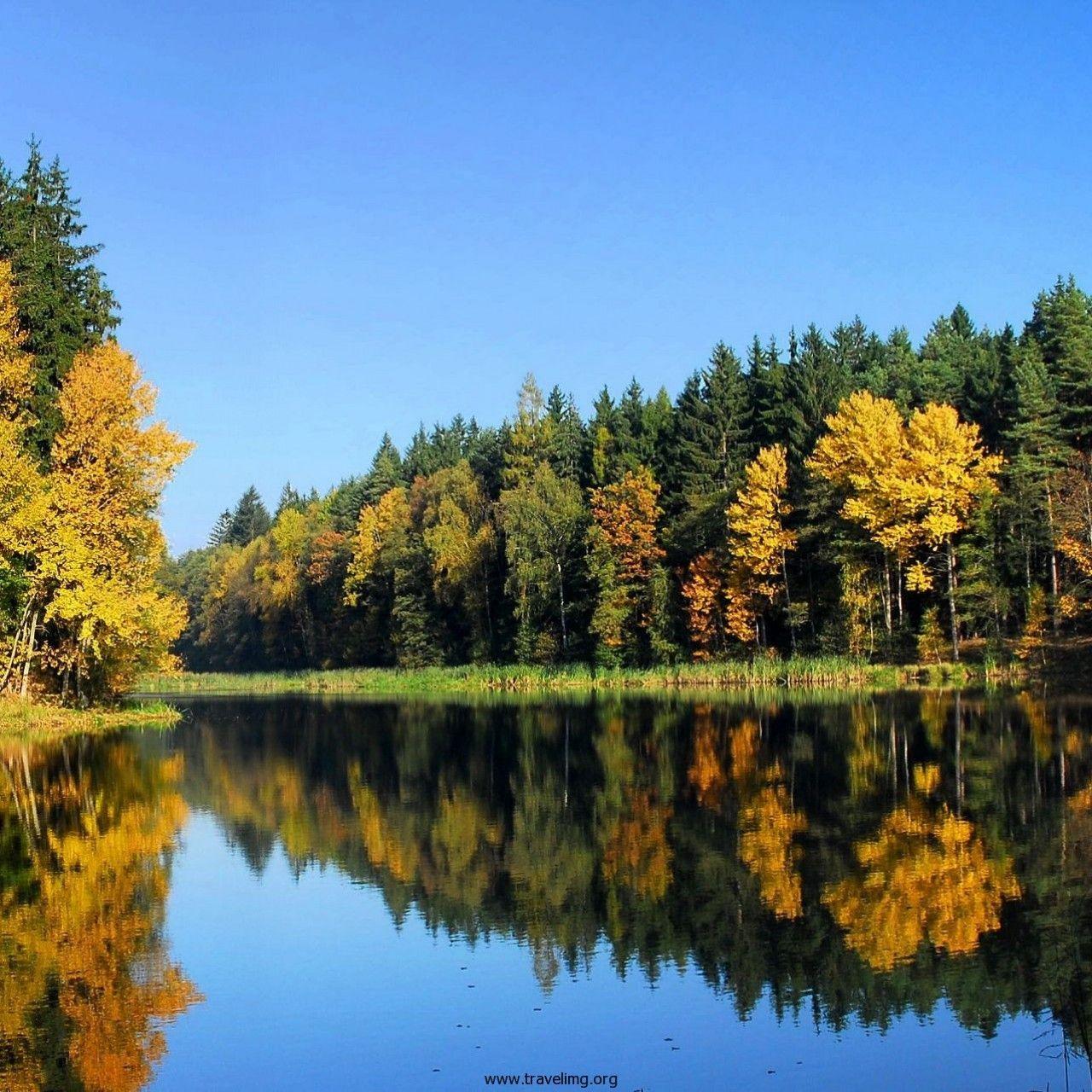 1280x1280 czech republic bohemia forest