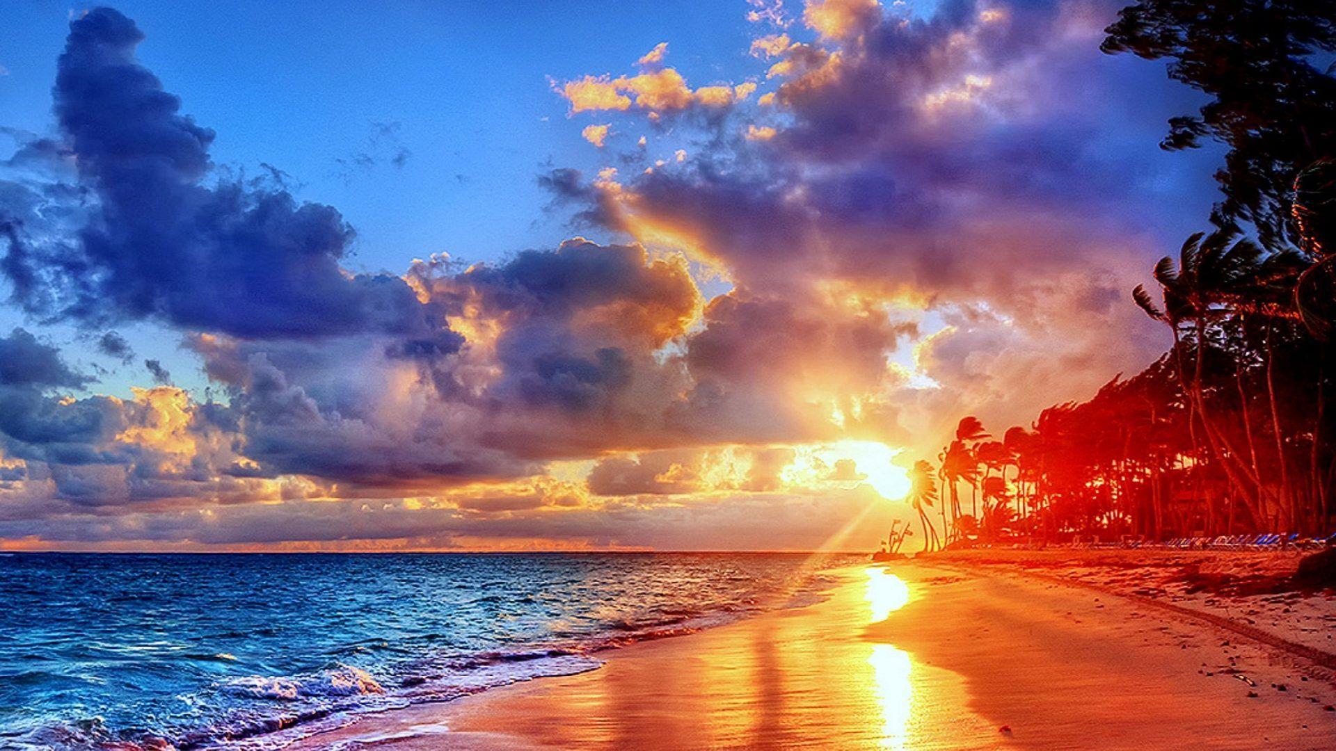1920x1080 Republic Tag wallpaper: Tropical Flower Flowers Nature Puerto Plata