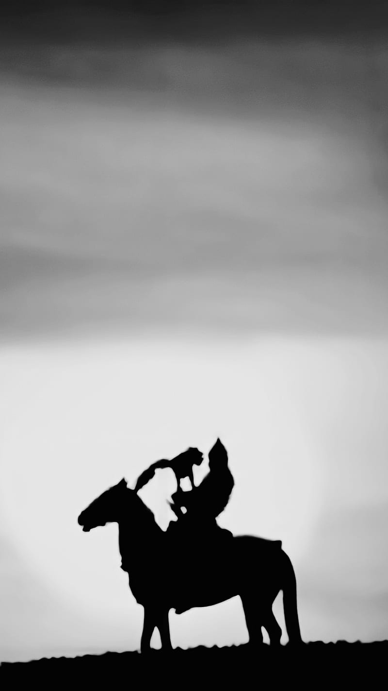 800x1423 HD turkic warrior wallpaper