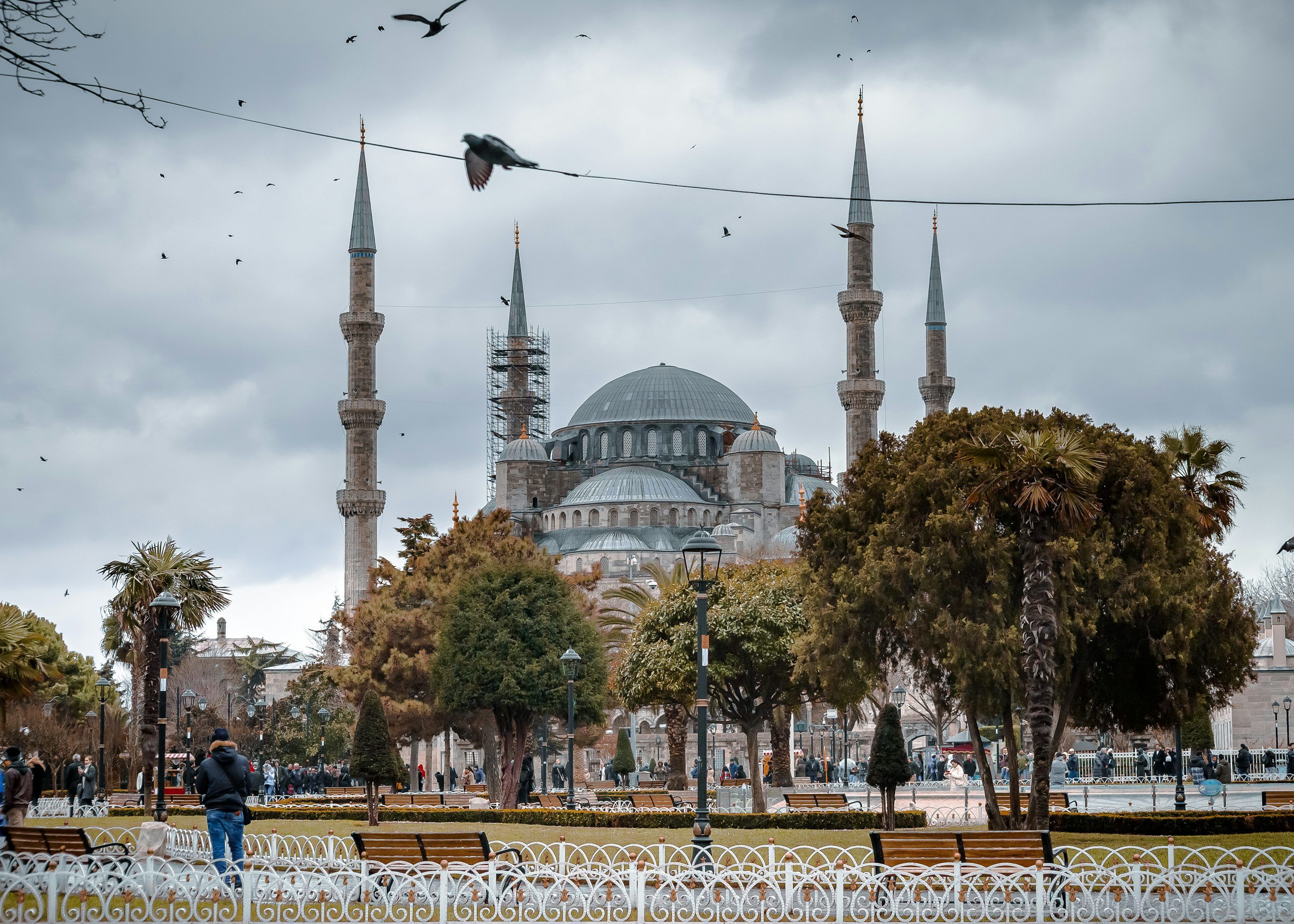 3000x2143 Camii Picture. Download Free Image