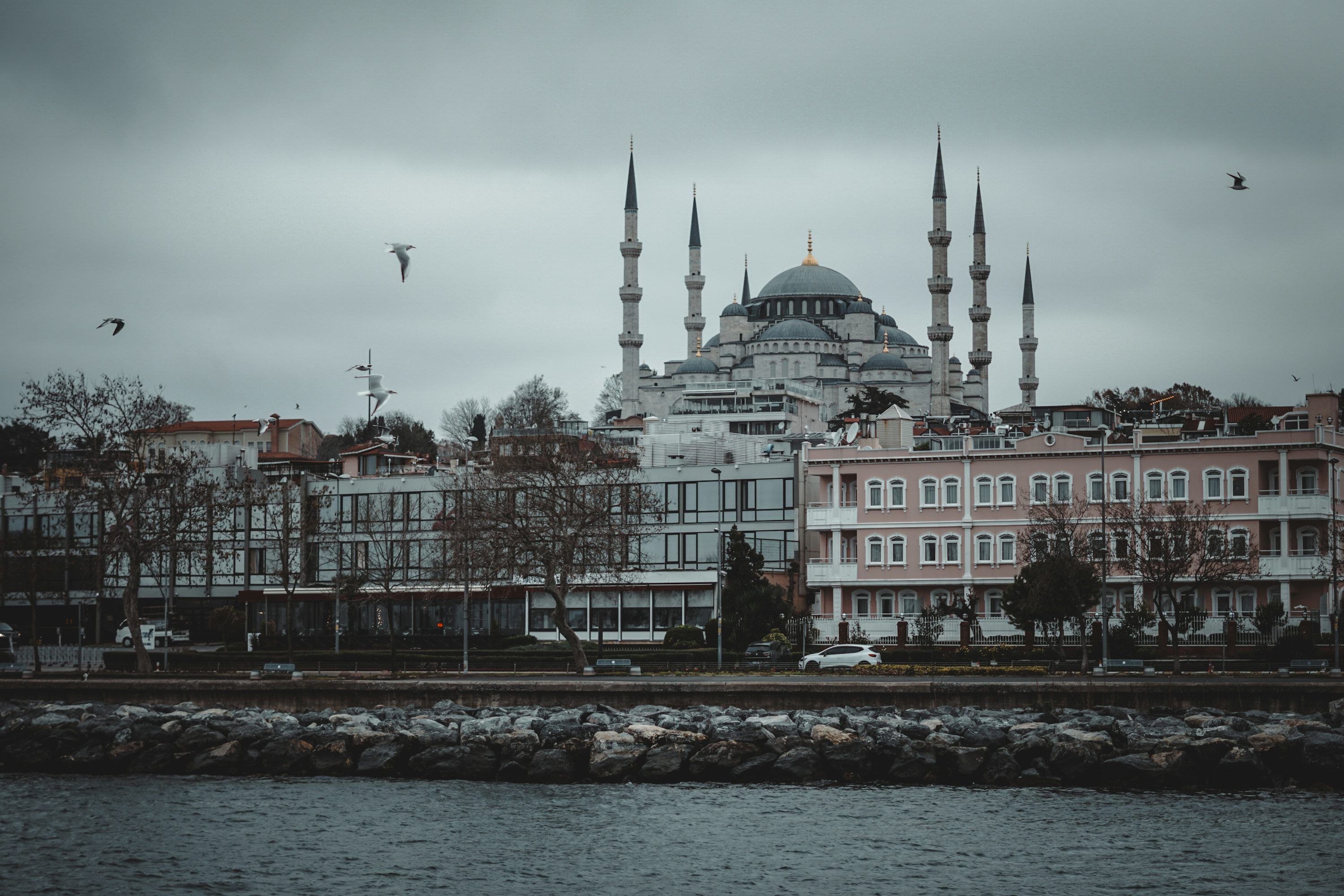 3000x2000 Camii Picture. Download Free Image
