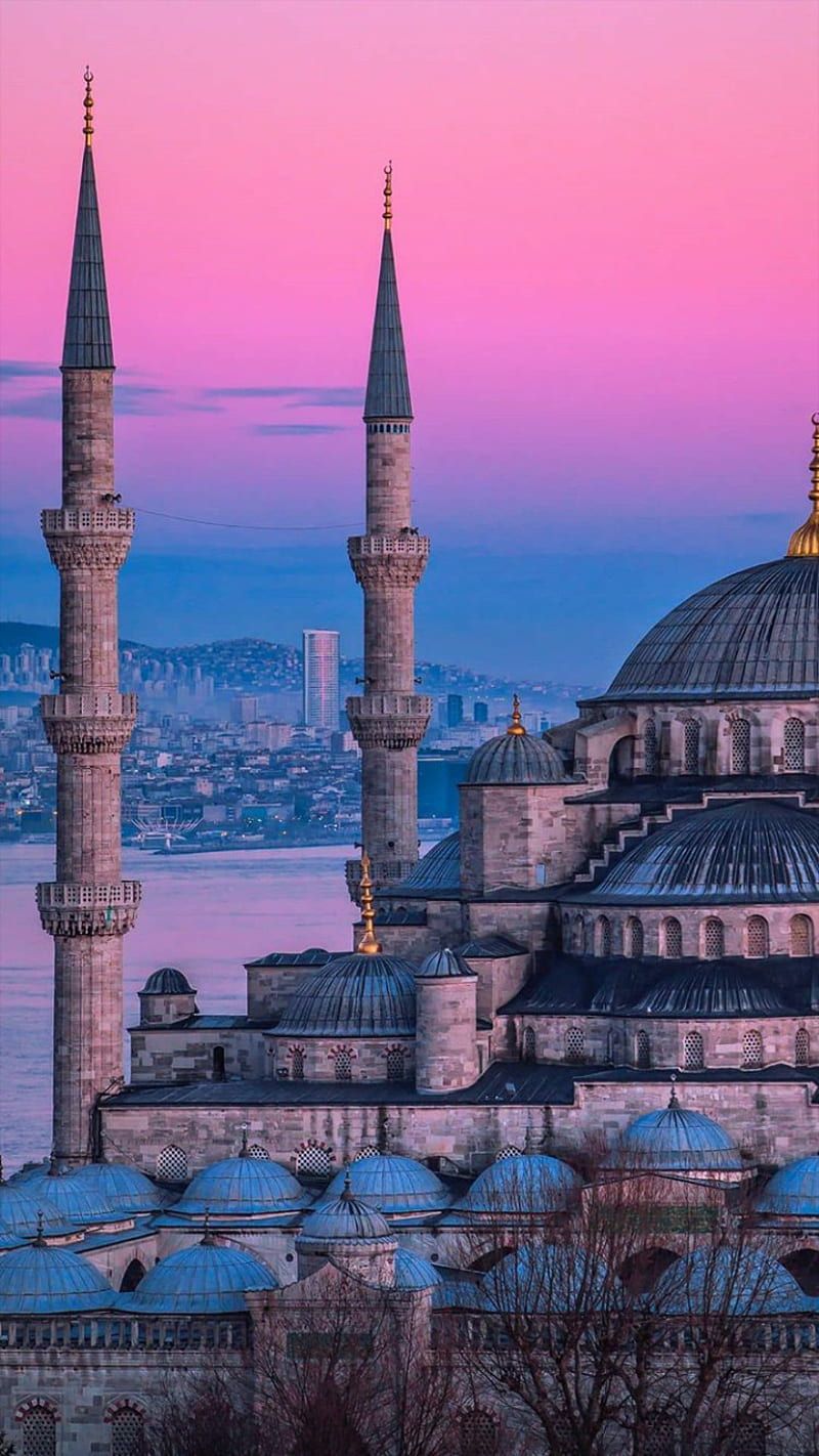 800x1422 Ayasofya, mosque, HD phone wallpaper