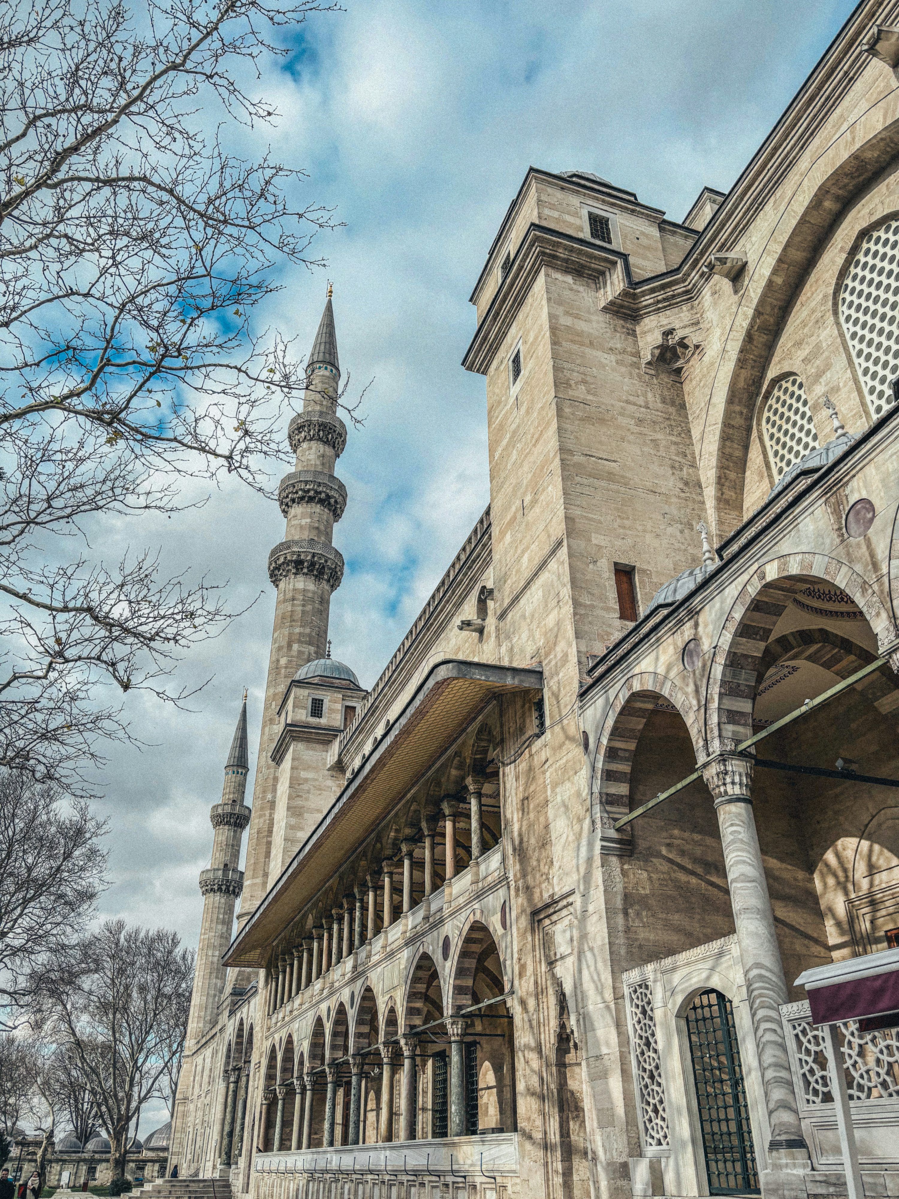 3000x4000 Camii Picture. Download Free Image