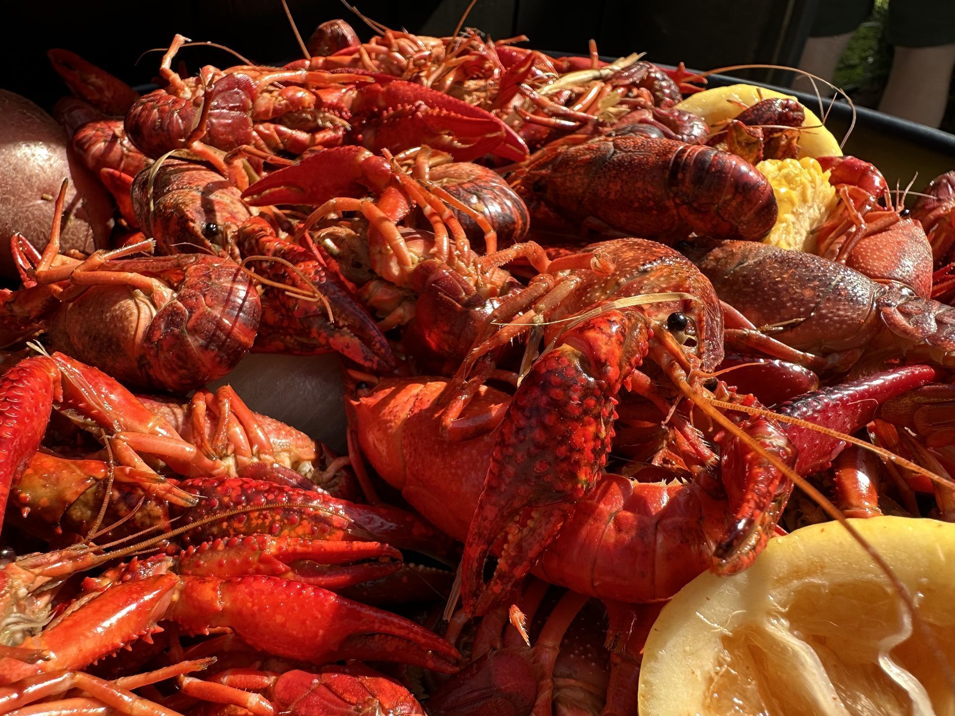 1920x1440 best crawfish in New Orleans