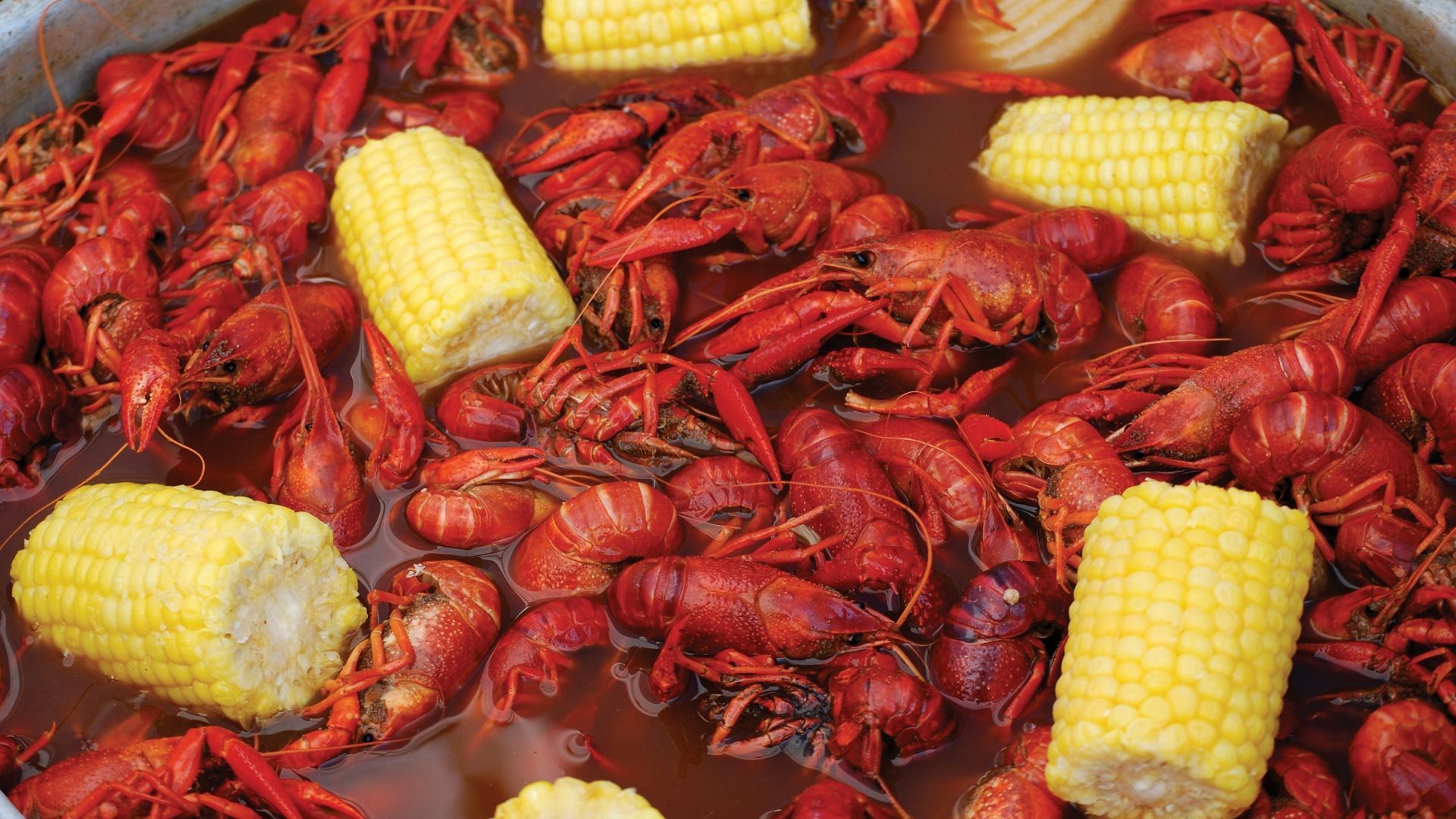 1920x1080 Crawfish Wallpaper
