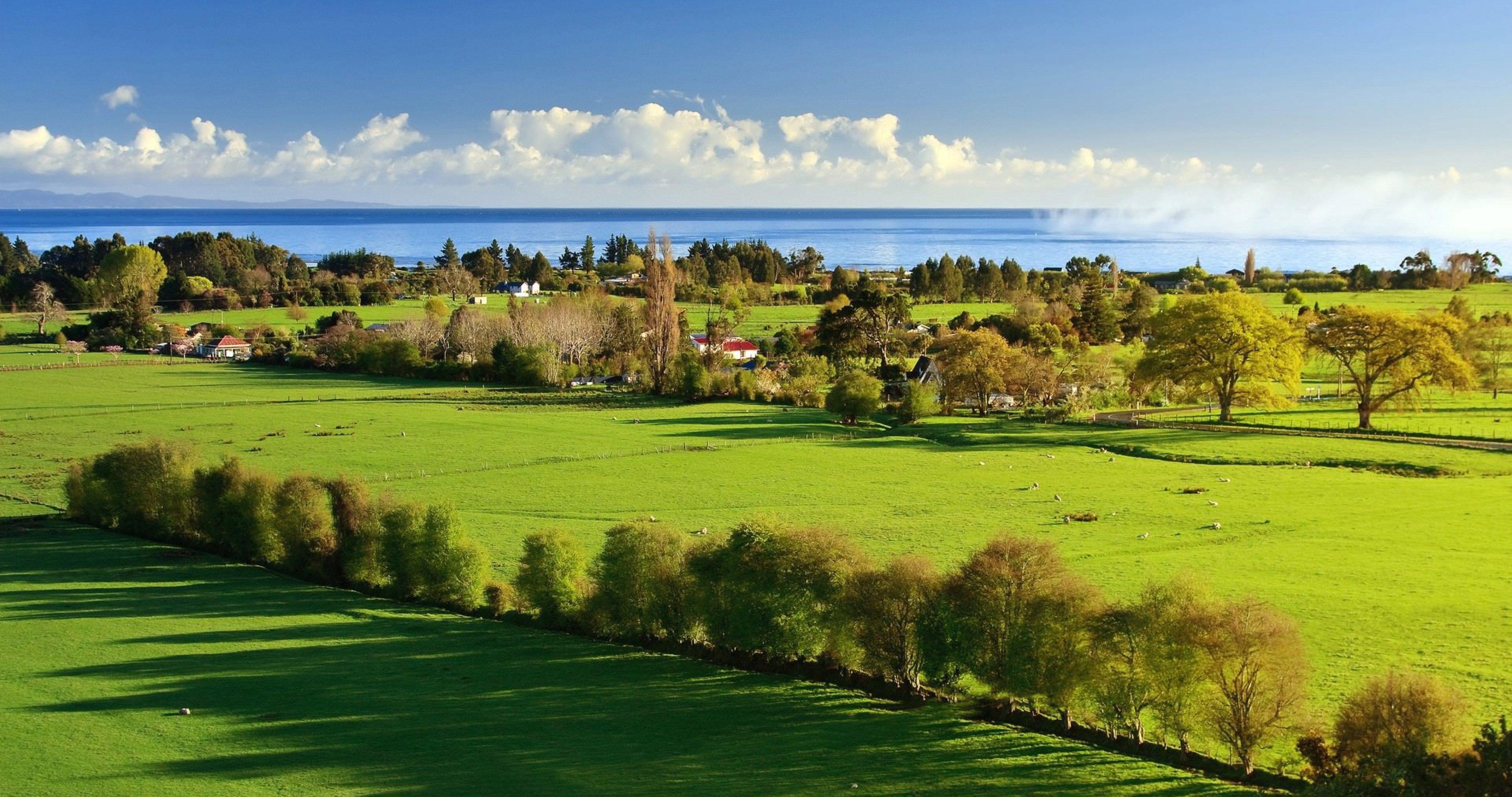 4096x2160 simple nature wallpaper 4k ultra HD wallpaper. ololoshenka