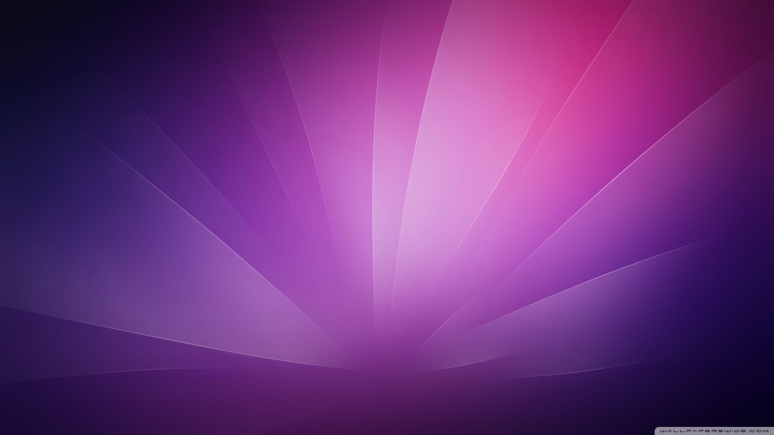 2560x1440 Purple Minimalist Background ❤ 4K HD Desktop Wallpaper