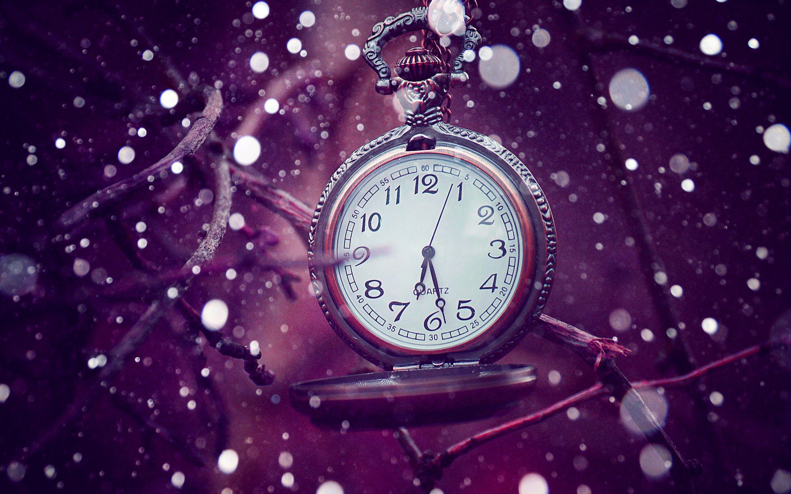 2560x1600 Purple Wallpaper Full HD ILKM1
