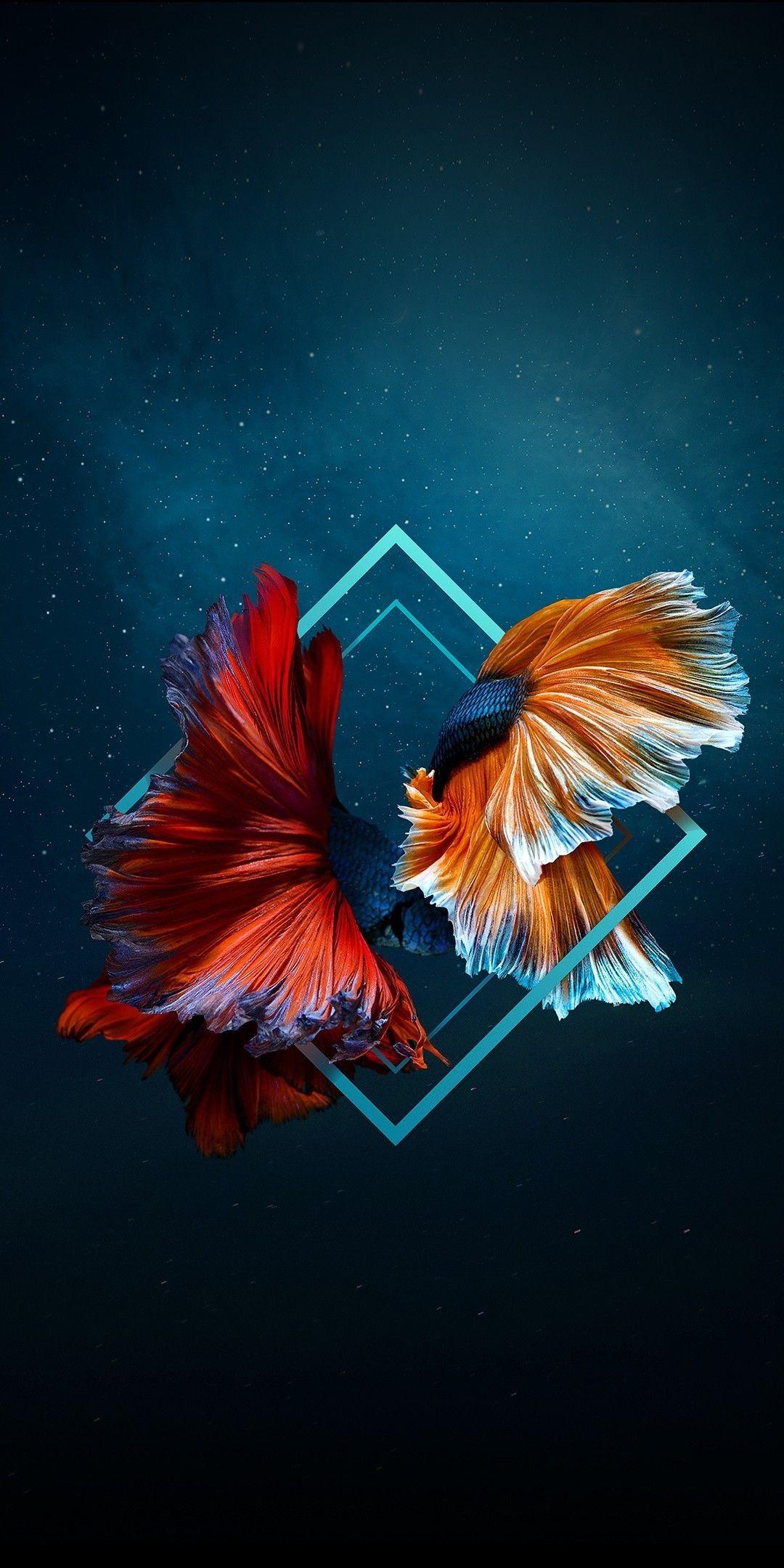 1080x2160 Sacred Geometry Wallpaper background picture