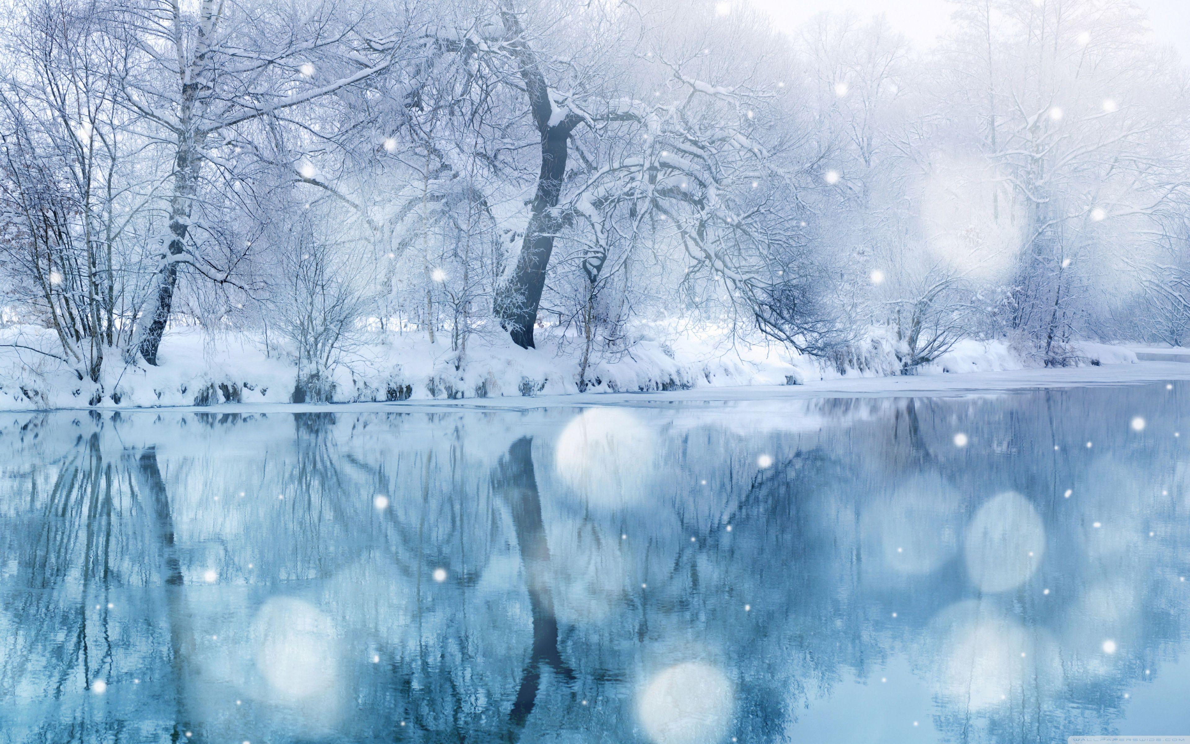 Beautiful White Winter Snow Wallpaper 1920x1200