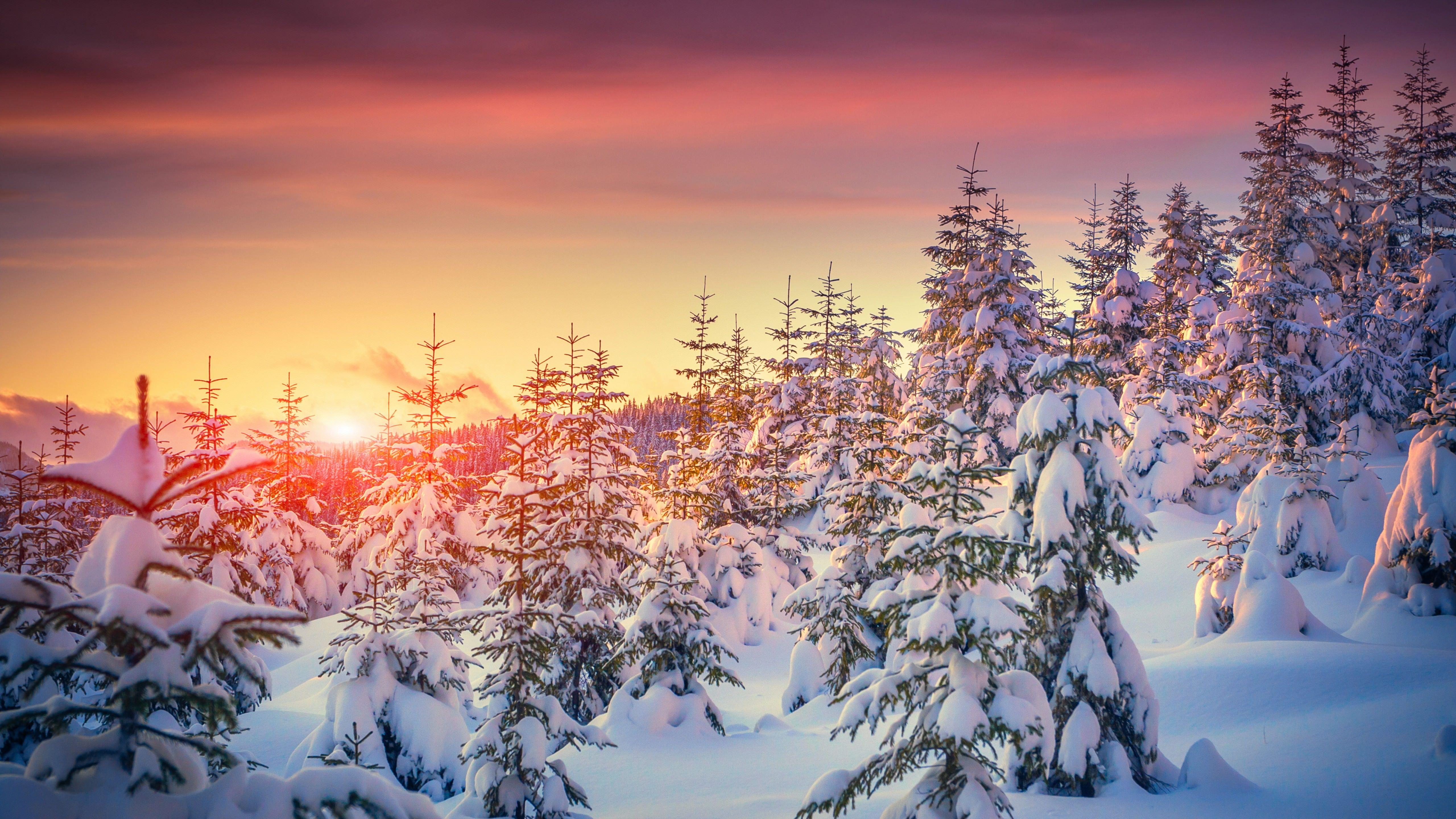 5120x2880 Winter Snow 4k Wallpaper (125) Image Wallpaper Download