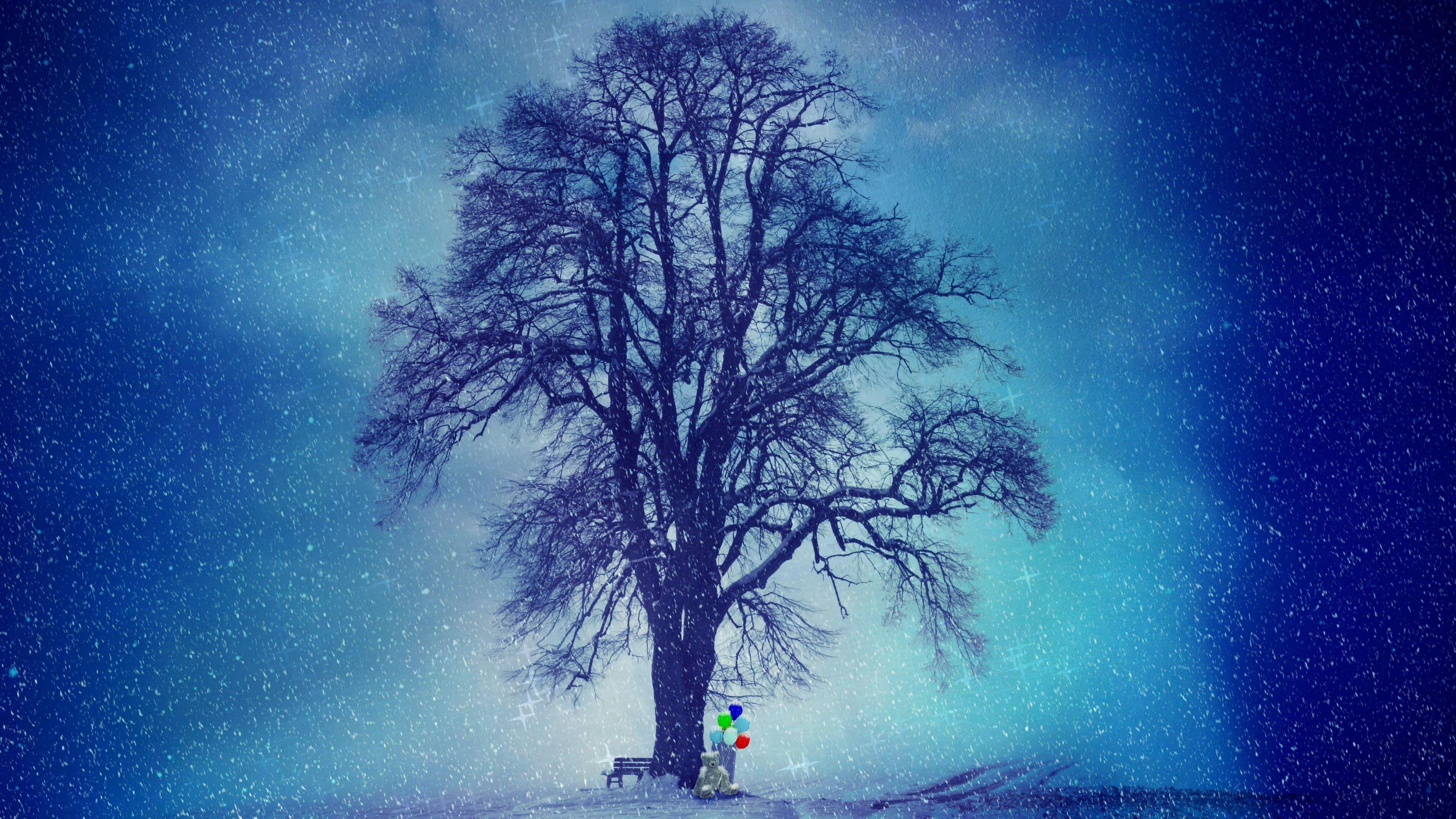 3840x2160 Wallpaper 4k Winter Snow Cold Tree 4k 4k Wallpaper, 5k